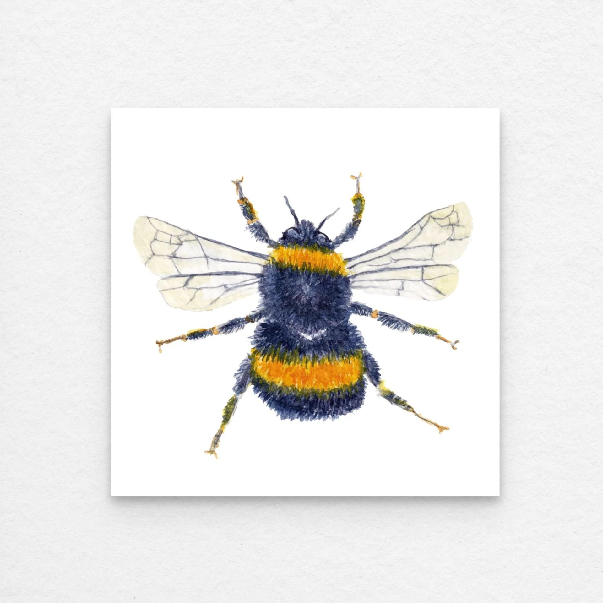Bumble Bee Watercolor Square print.jpg