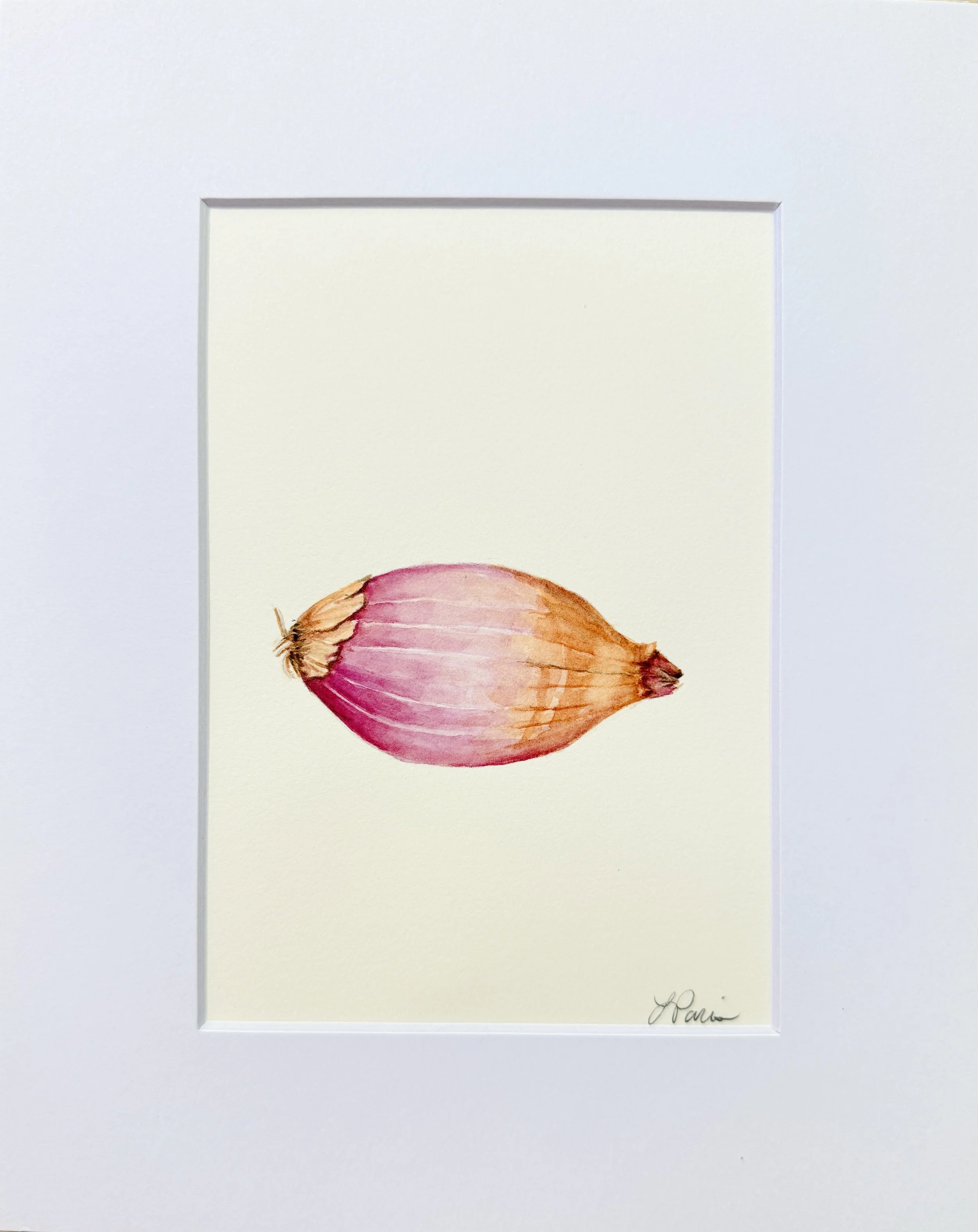 Shallot.JPG