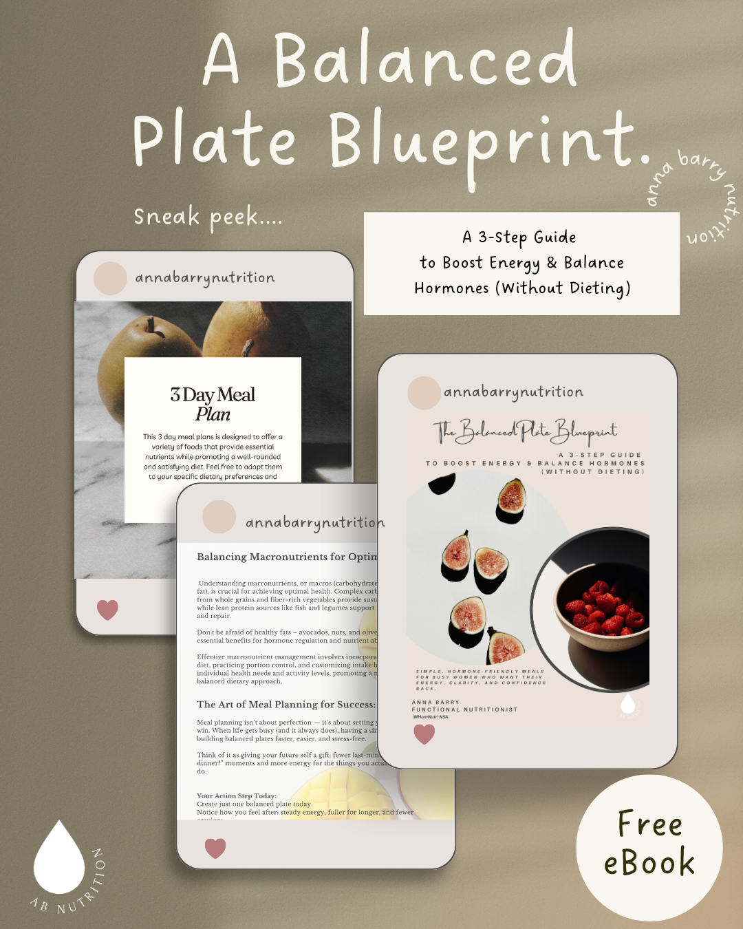 balanced blue print  ebook