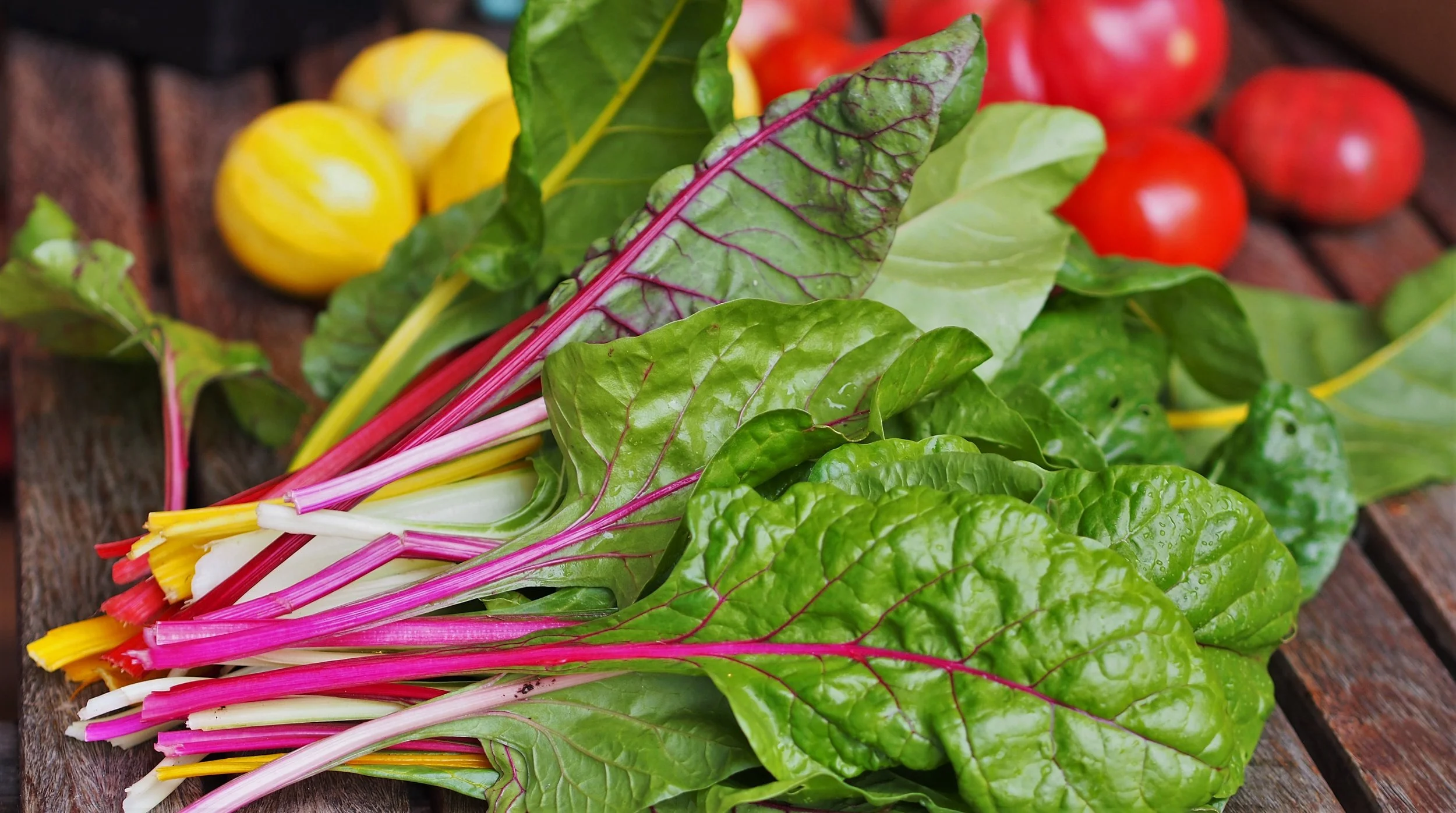 The Seven Tenets of Sustainable Gardening Draft