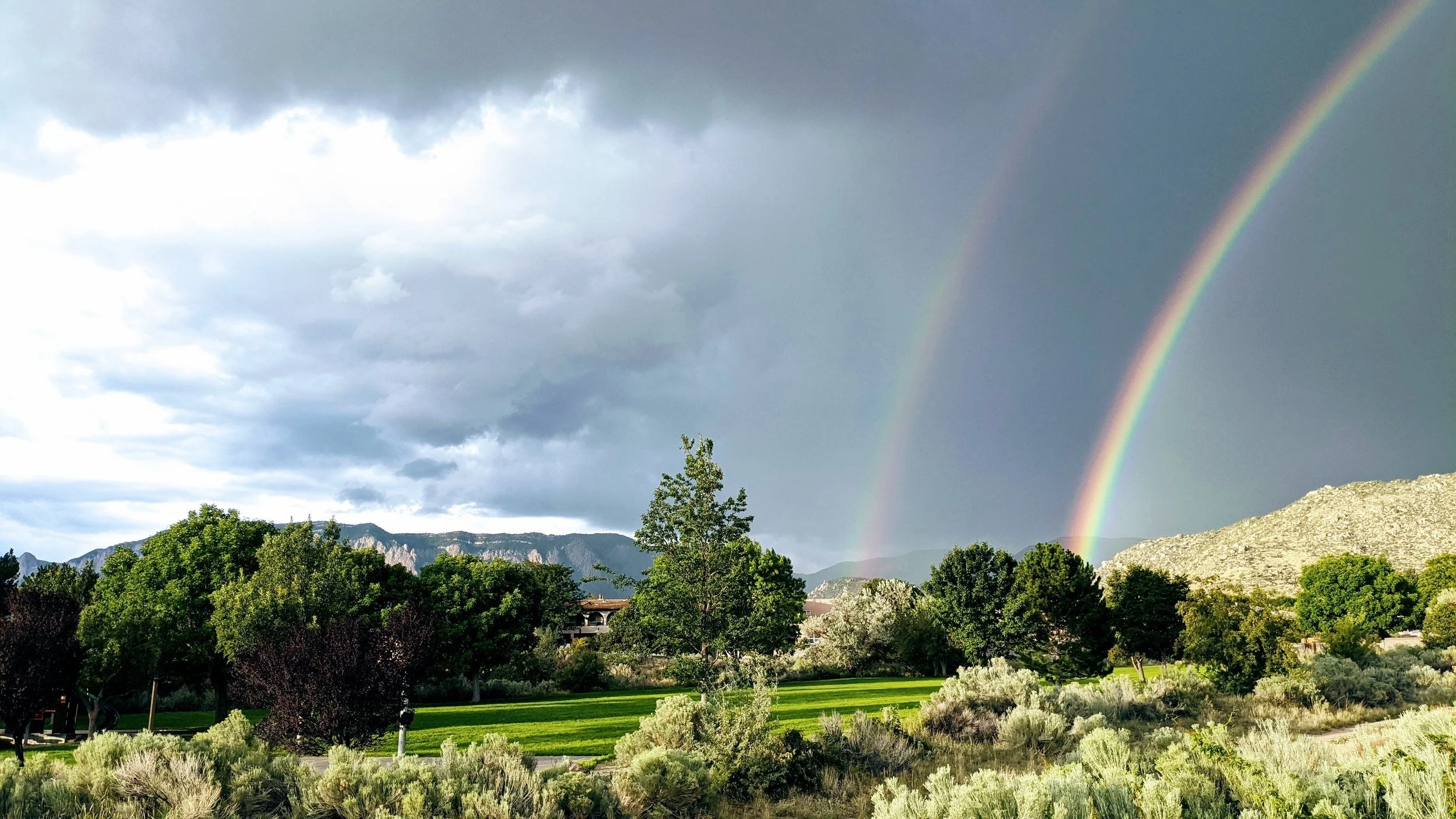 The Seven Tenets #1: Obey Your Sense of Place