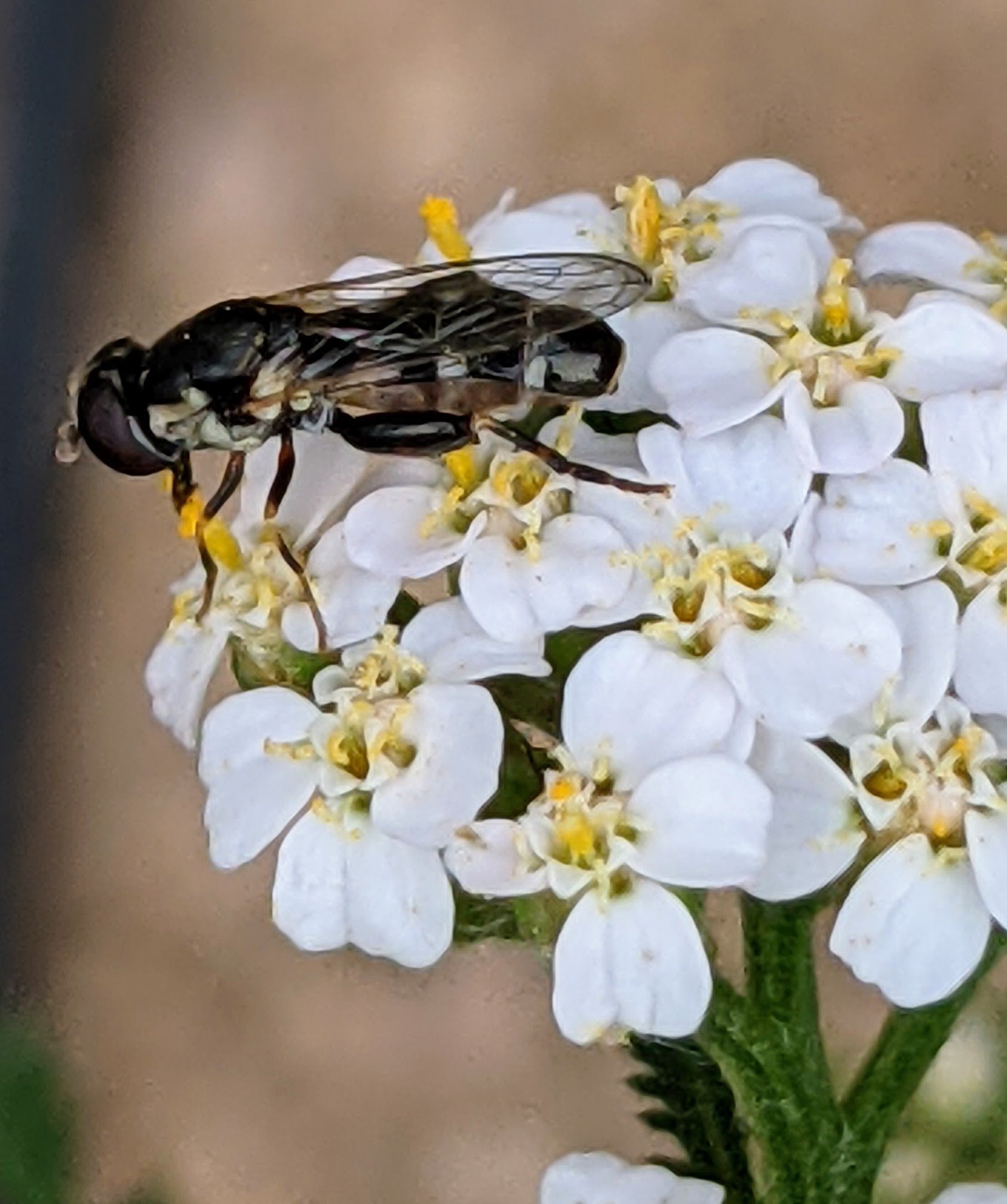 The Seven Tenets #3: Strike a Balance