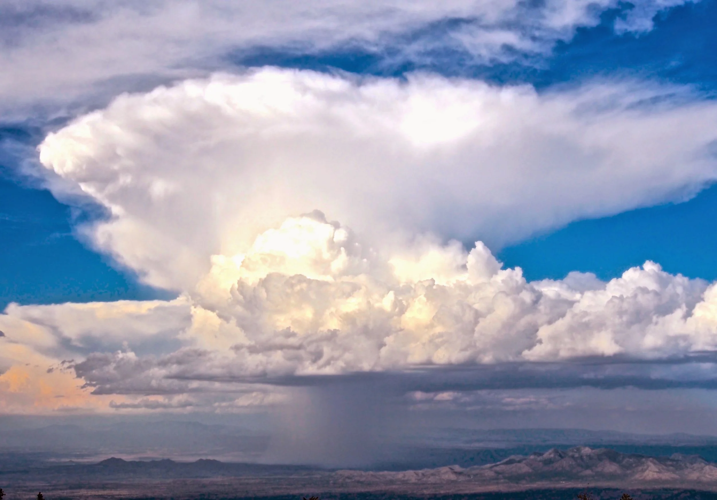 The Seven Tenets #4: Manage Water Wisely