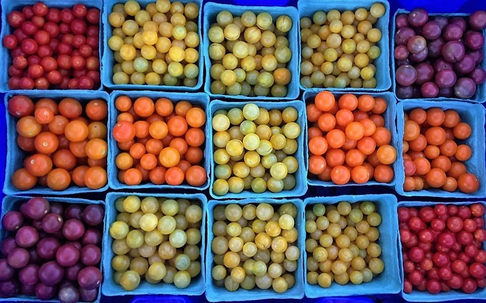 The Seven Tenets #s 6 and 7: Practice Prevention and Share the Utility