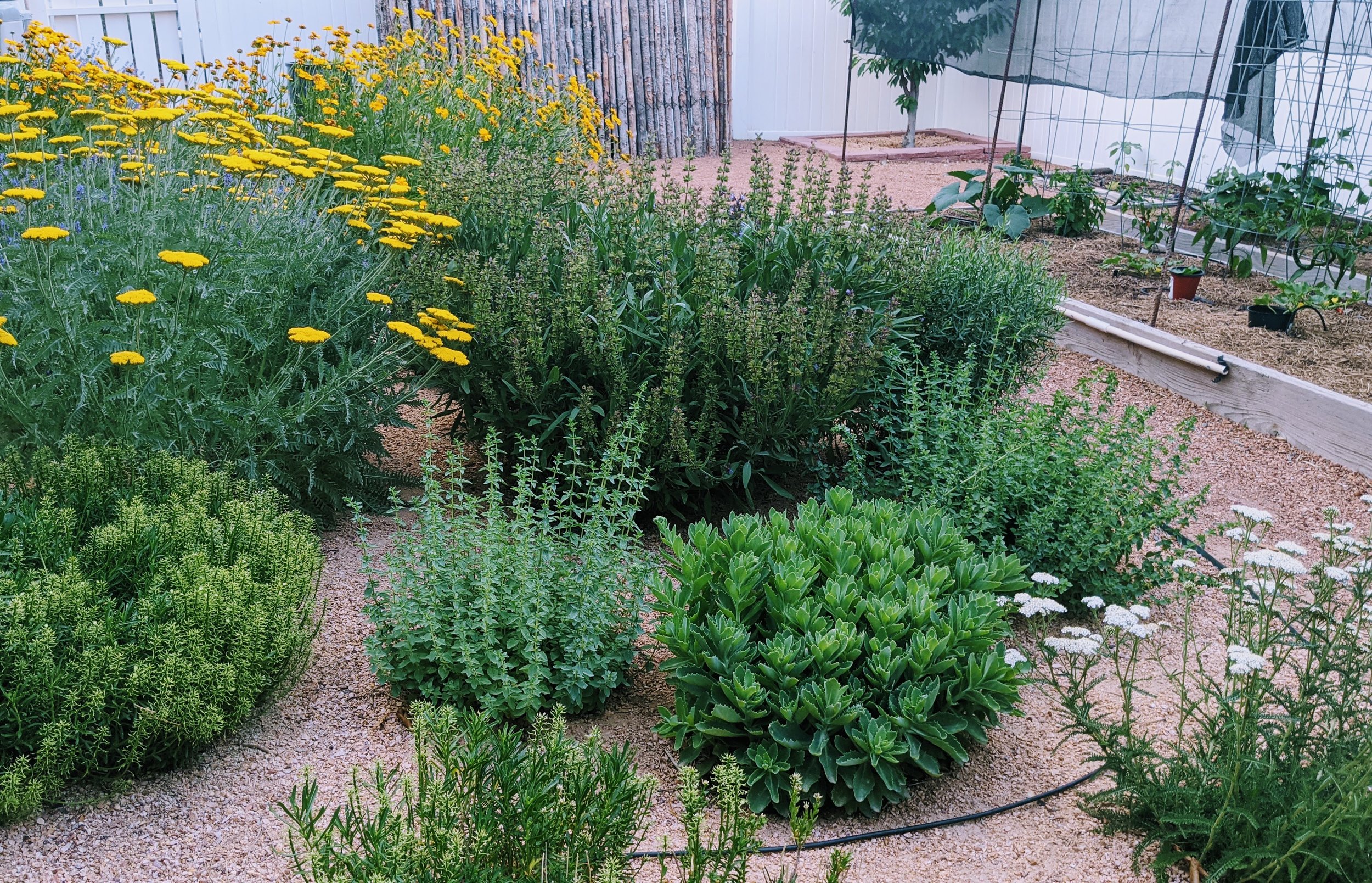 The Seven Tenets #5: Encourage Diversity