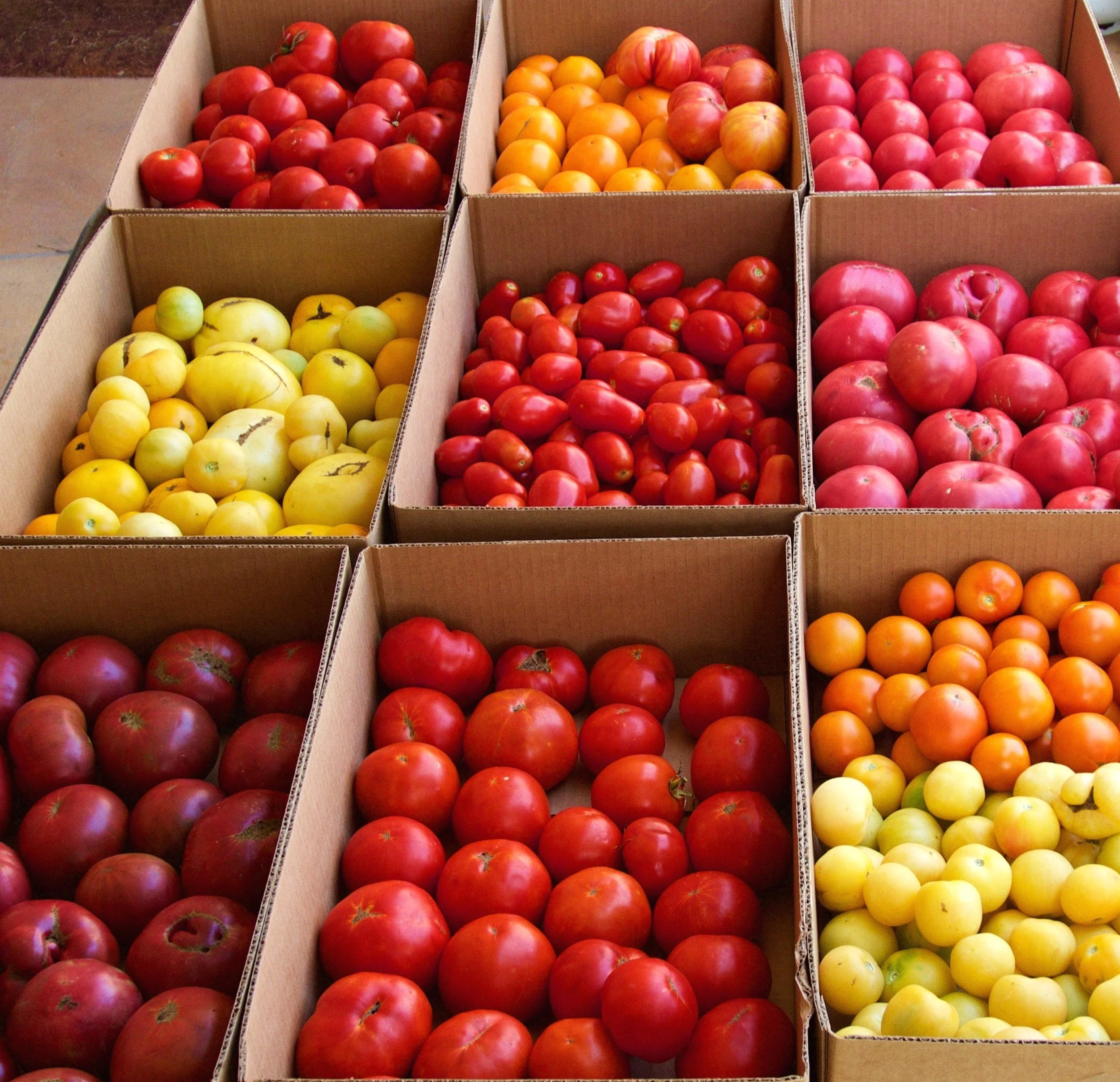 The Myth of Low Acid Tomatoes