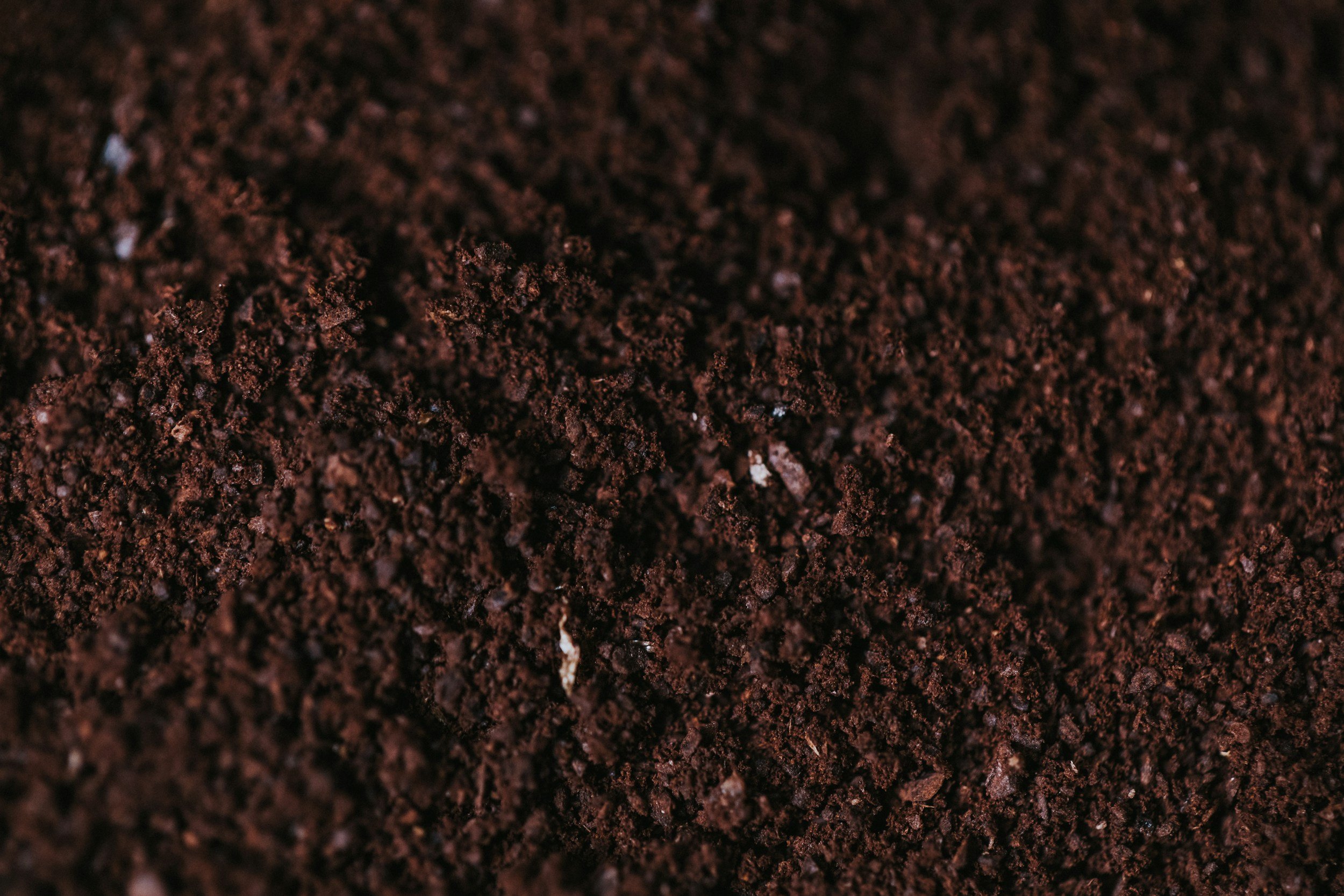 Soil - the essential foundation for growing great produce in the southwest US