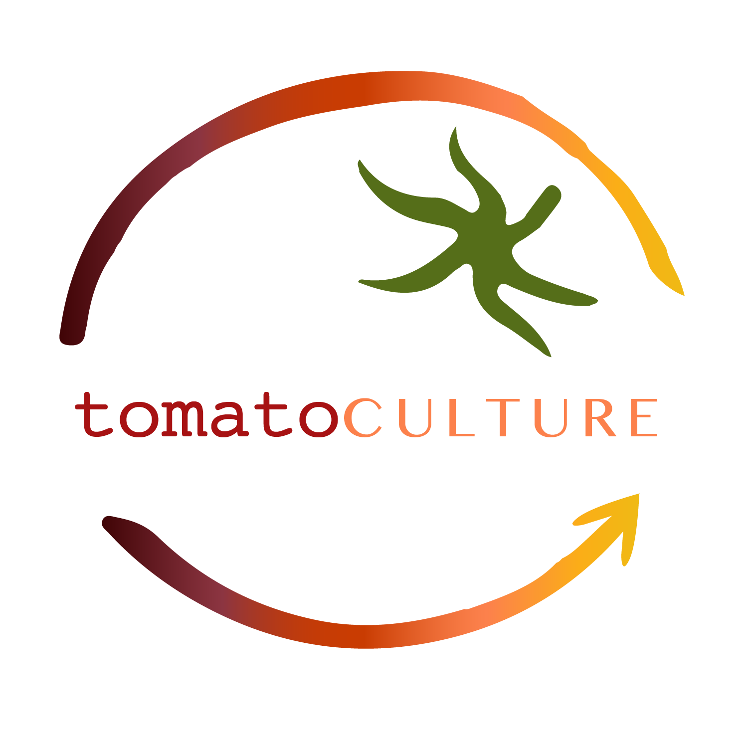 Growing Great Tomatoes and More