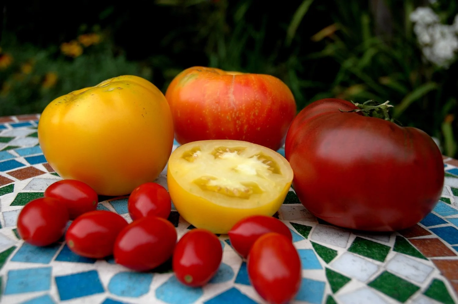 Assortment of Heirloom Tomatoes