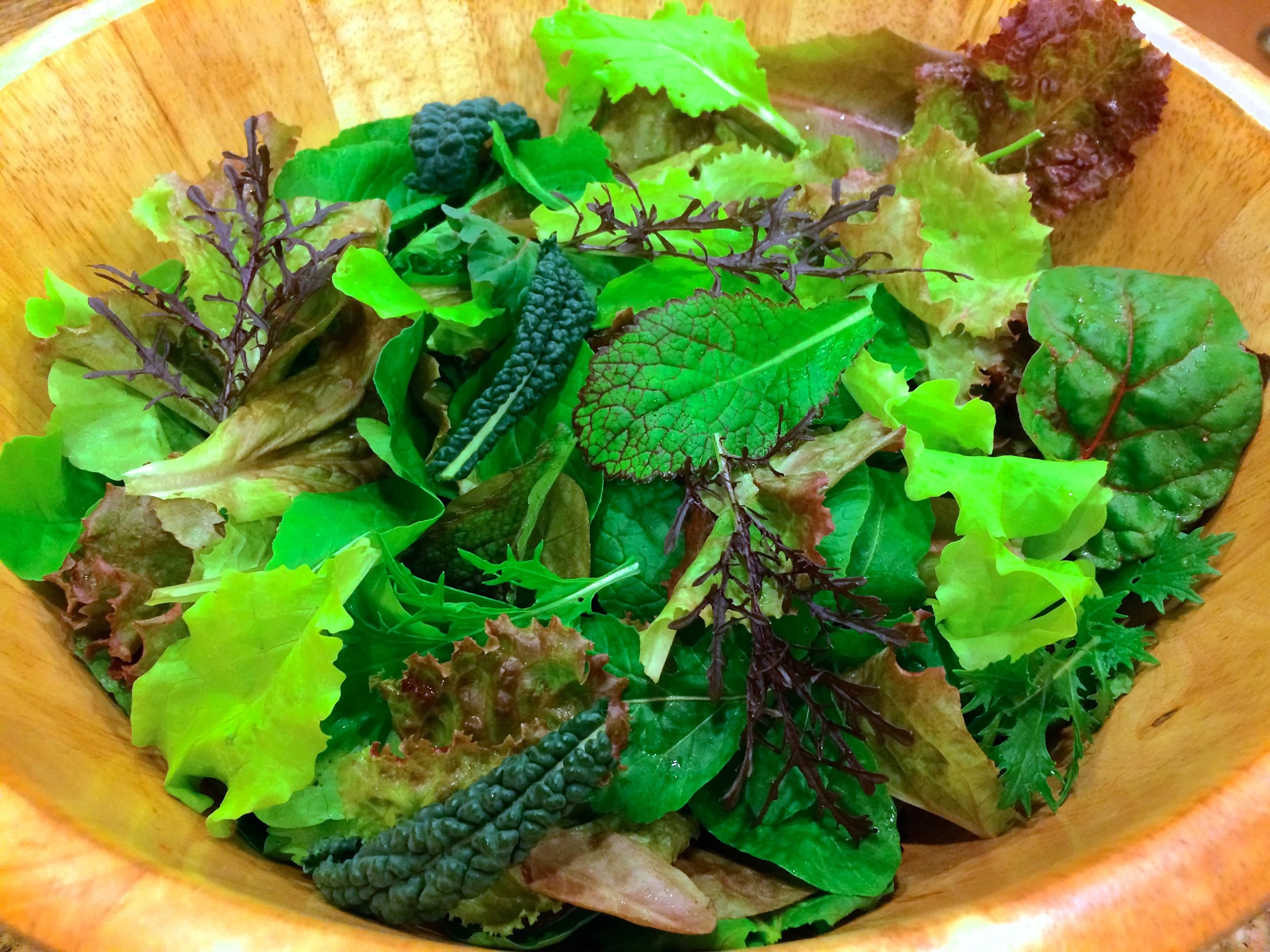 Home grown spring mix