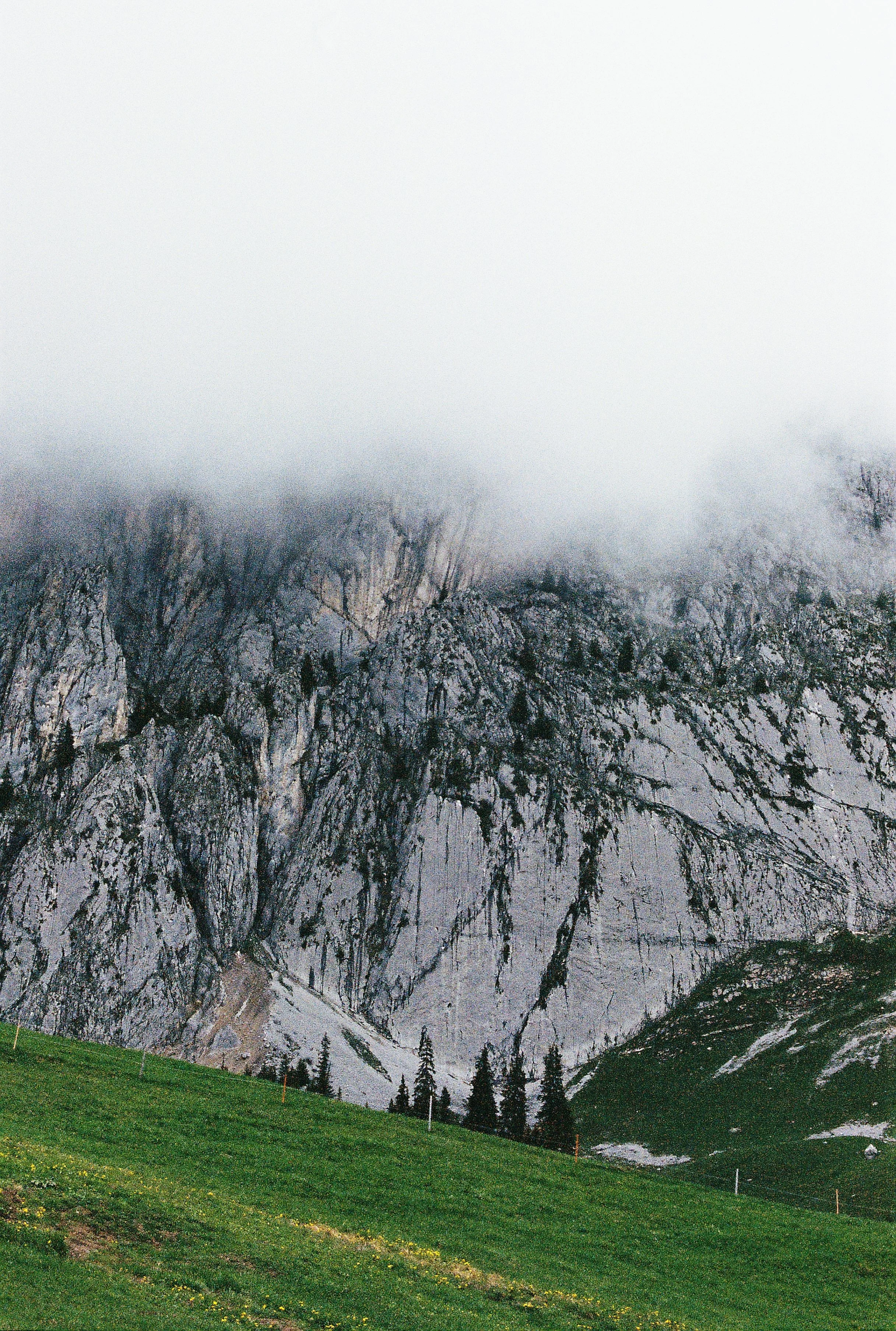 R1-09296-005A.JPG