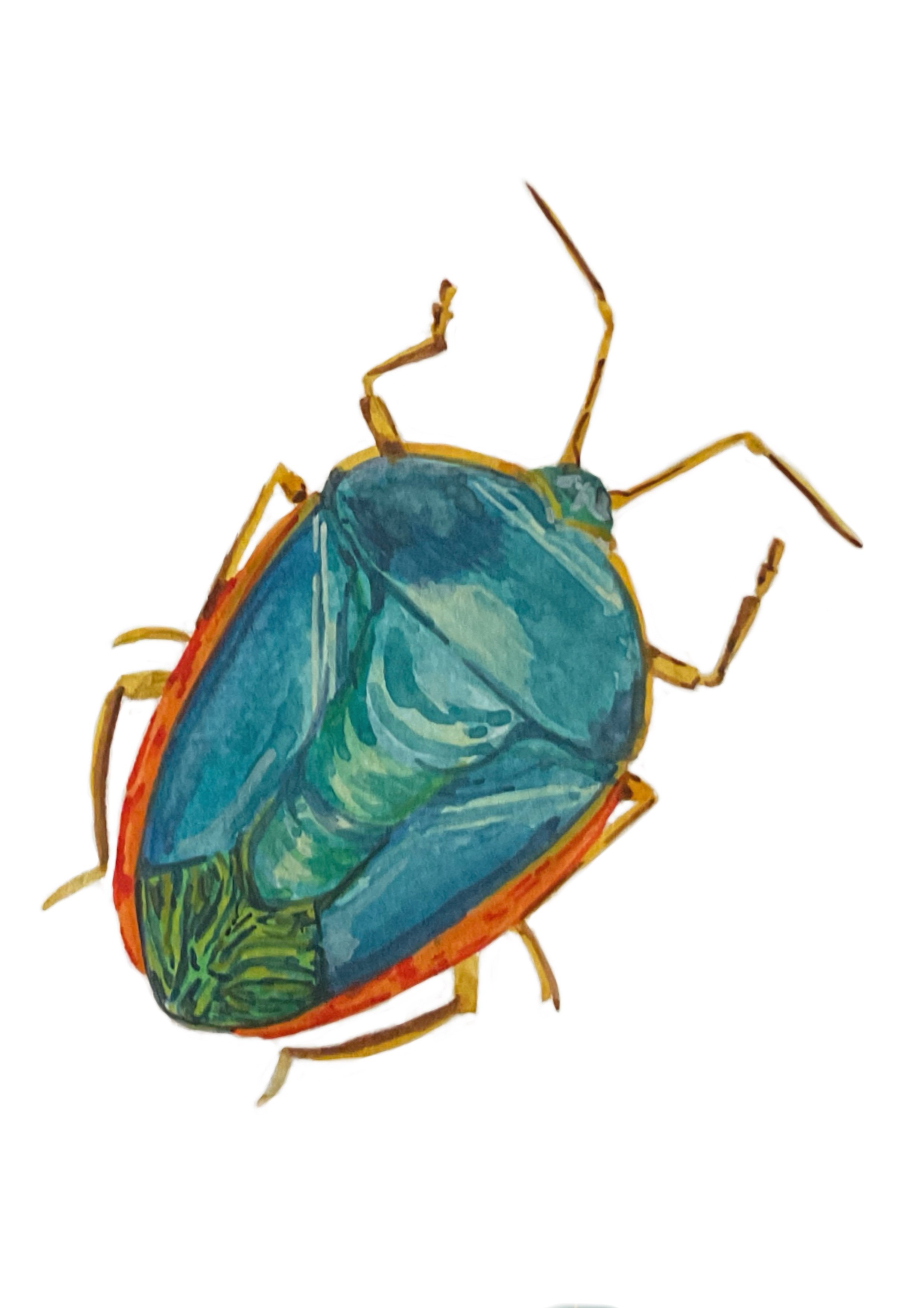 Untitled_Artwork 102.jpg