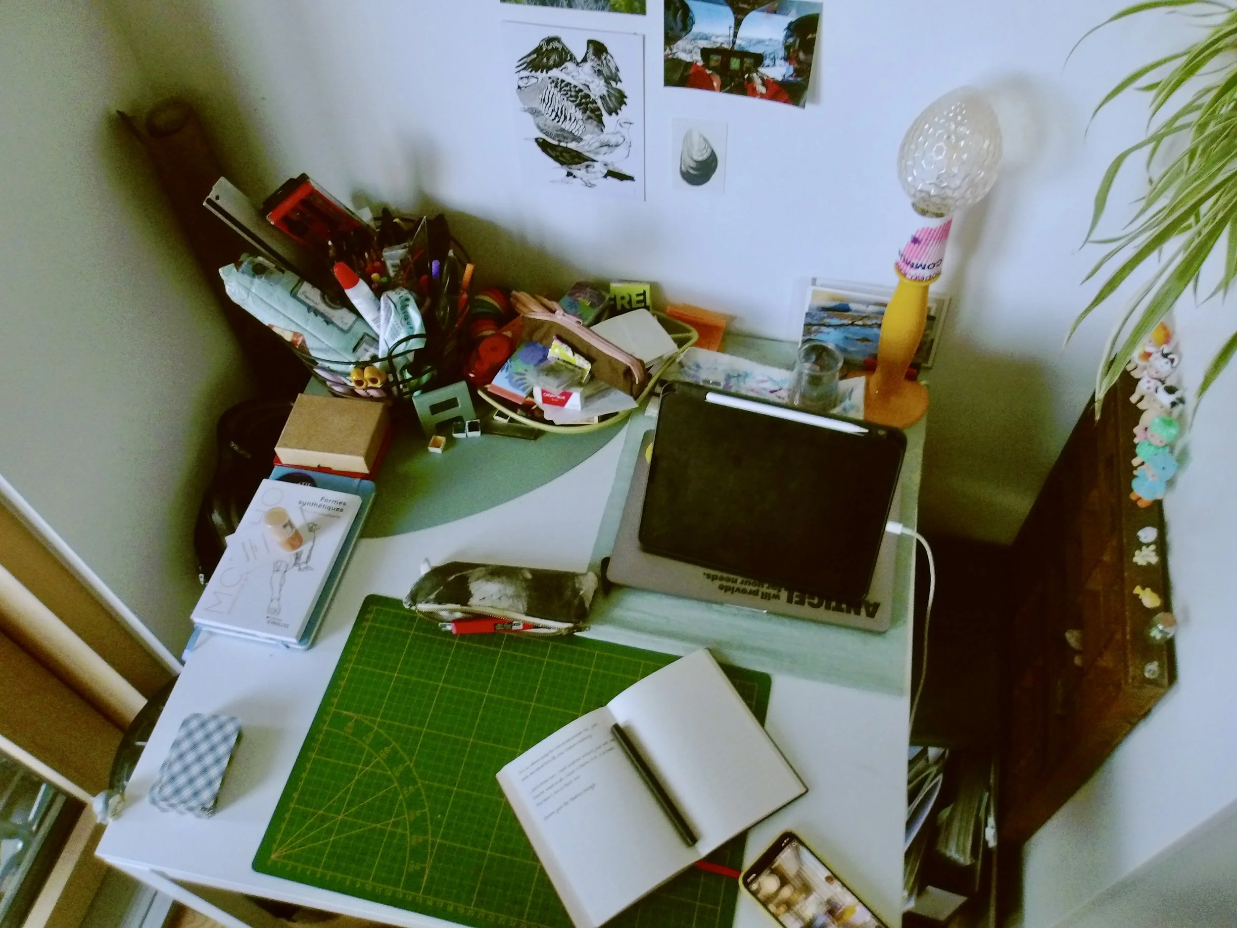 100_0061.jpg