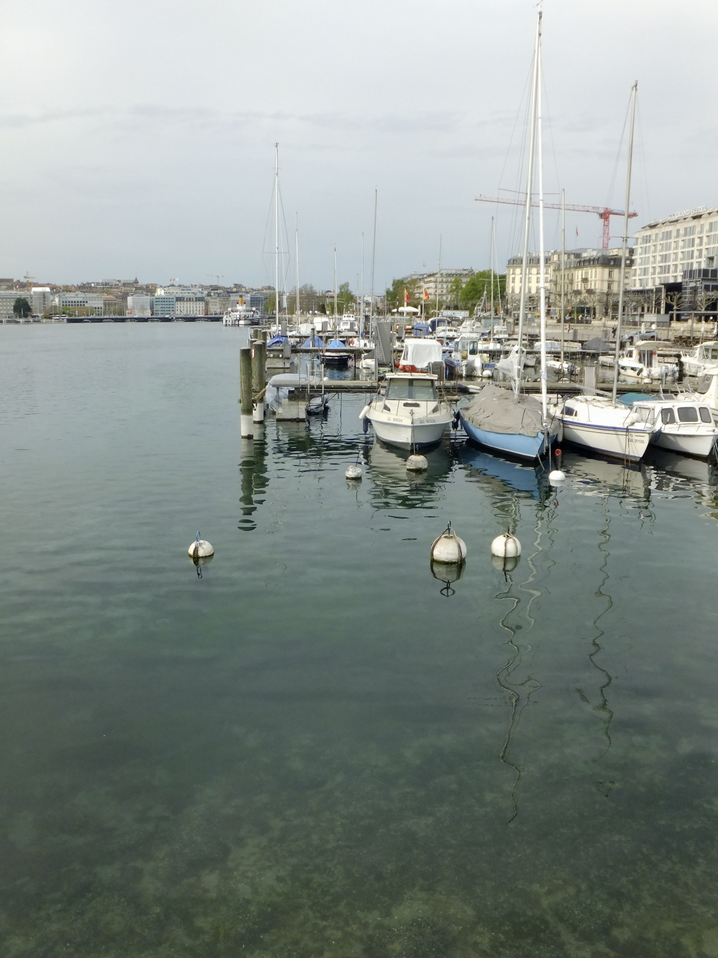 IMG_4256.jpeg