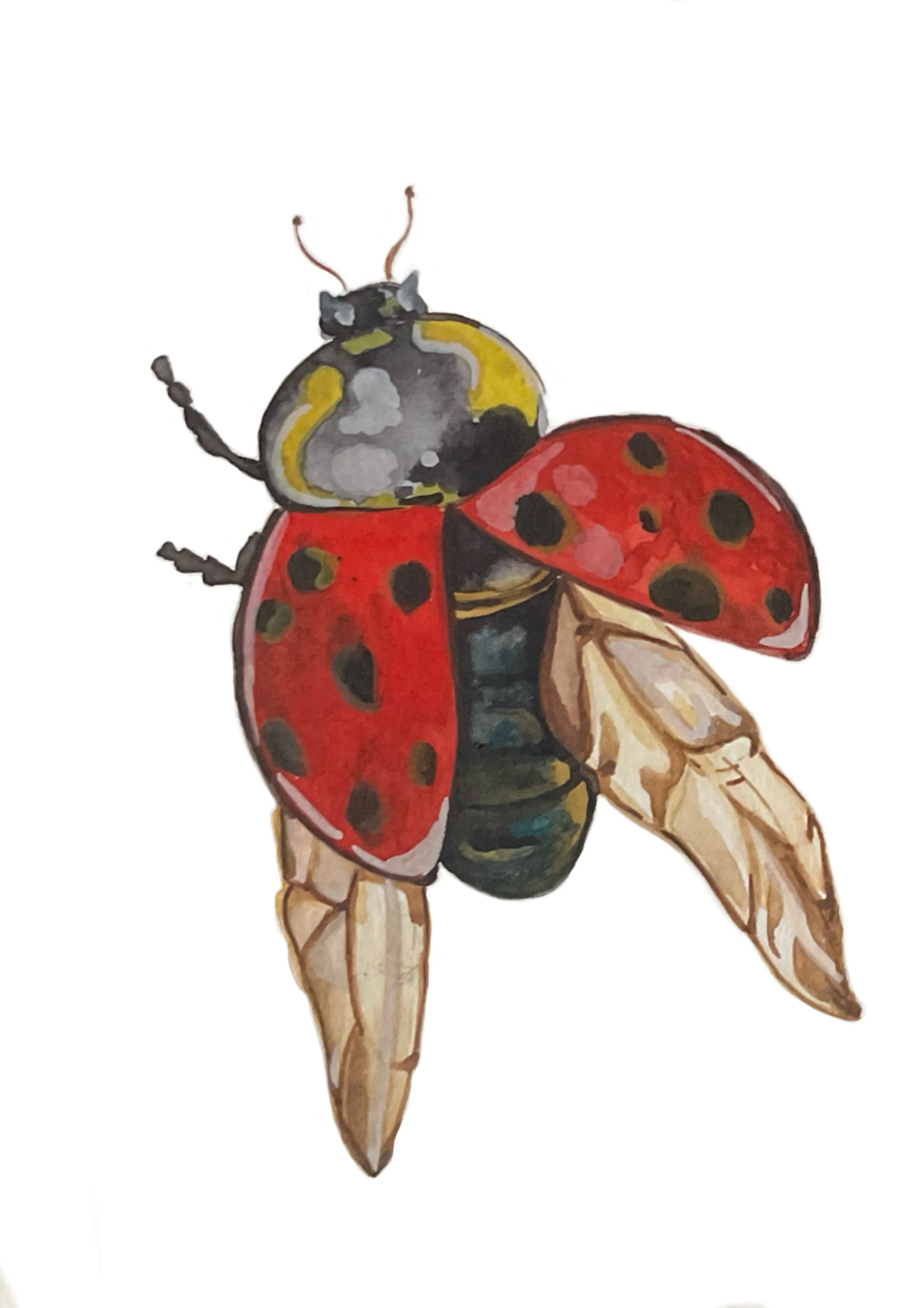 Untitled_Artwork 100.jpg