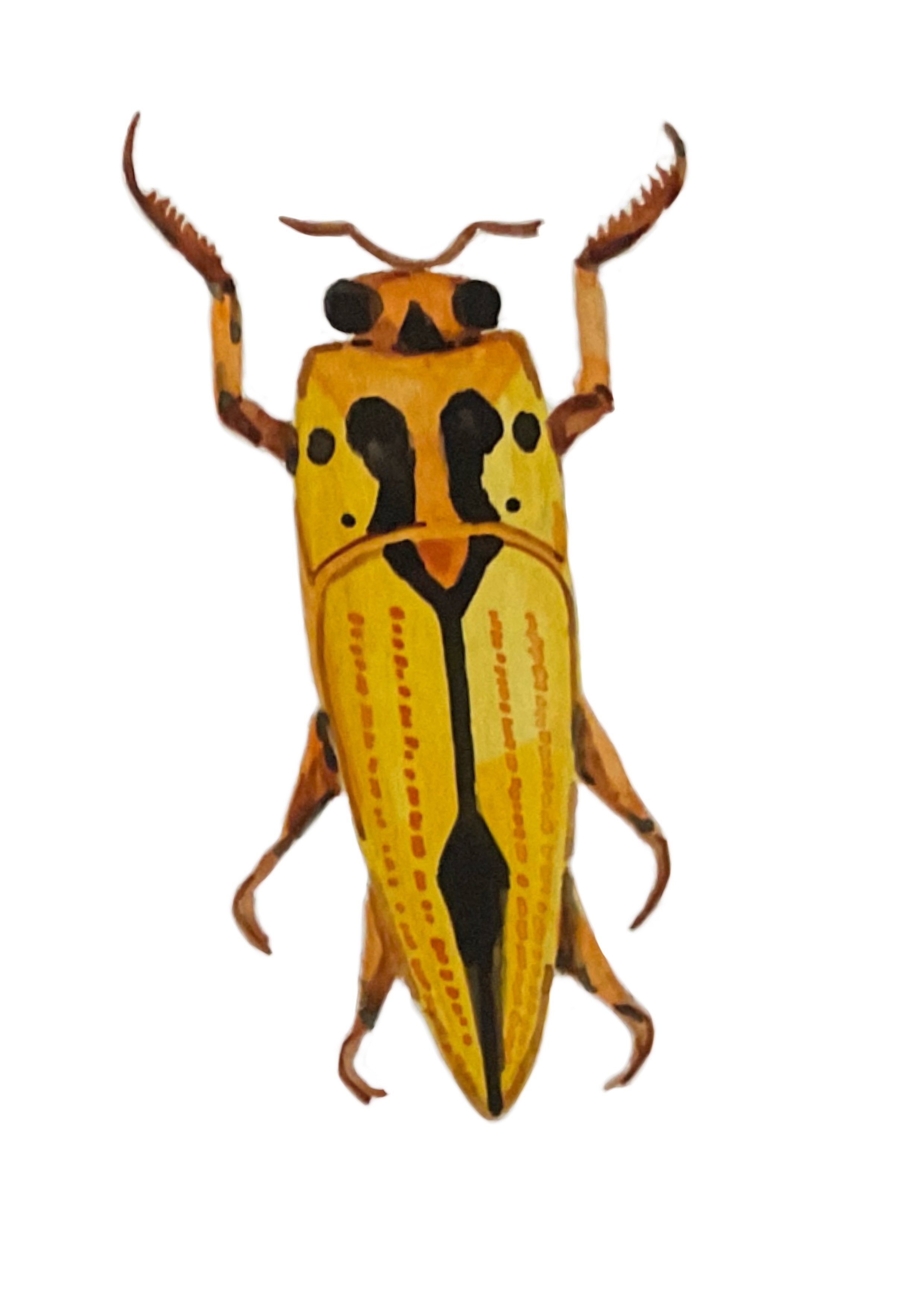 Untitled_Artwork 101.jpg