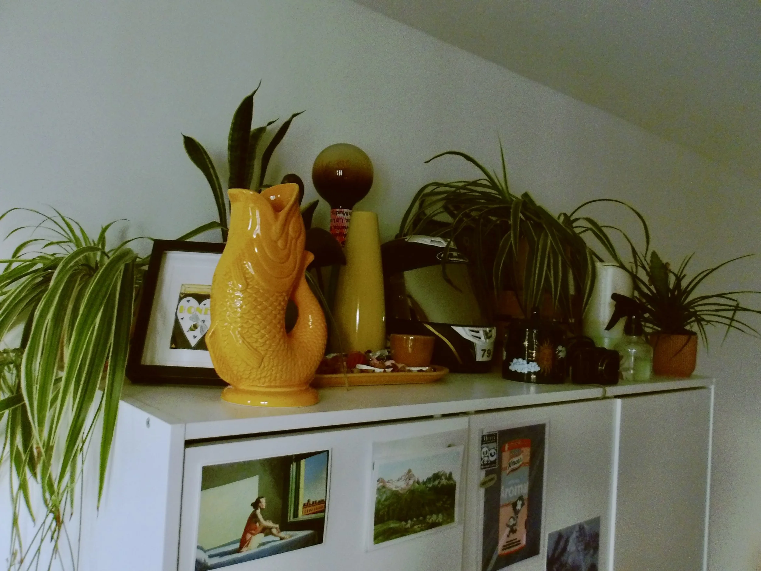 100_0054.jpg
