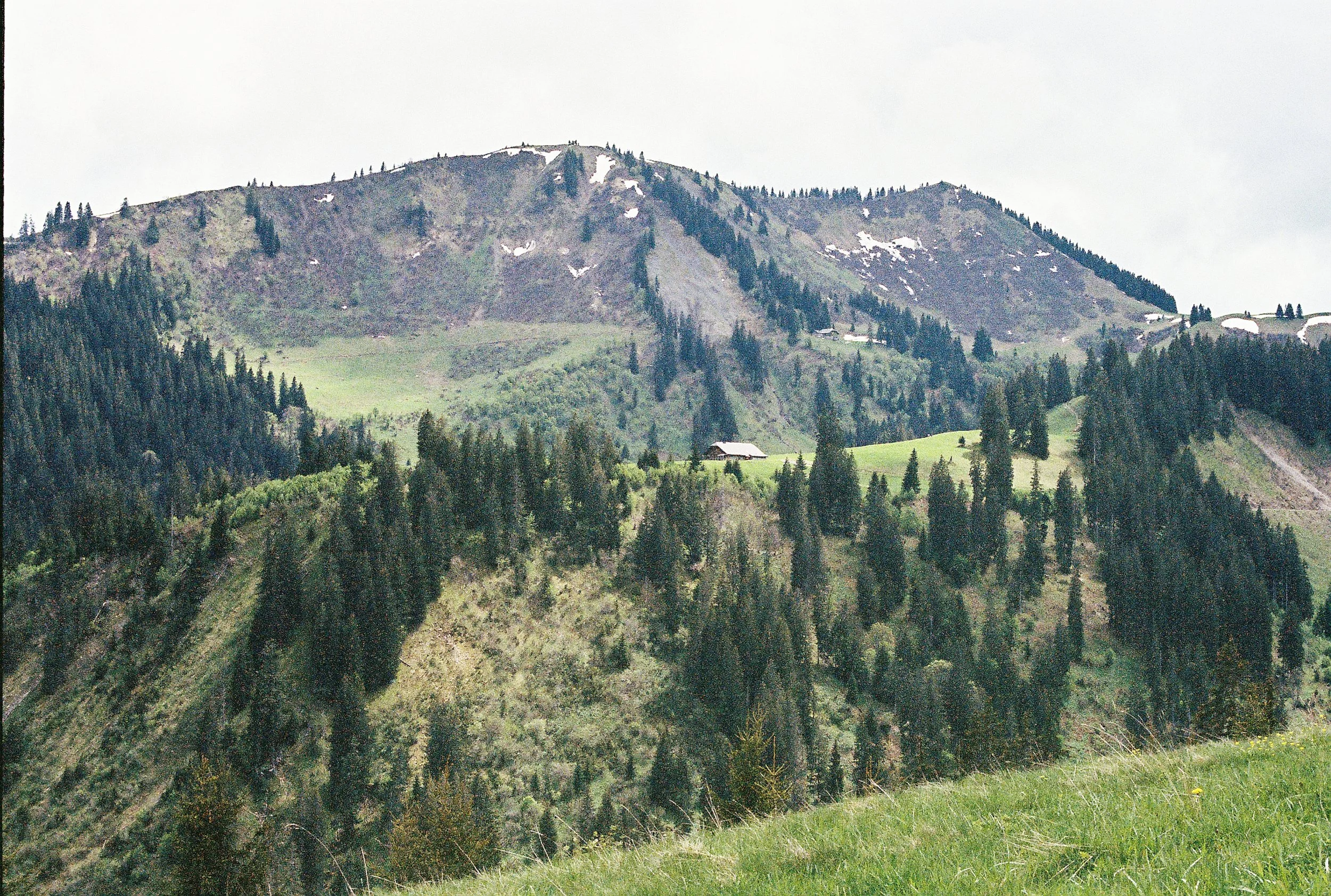 R1-09296-003A.JPG