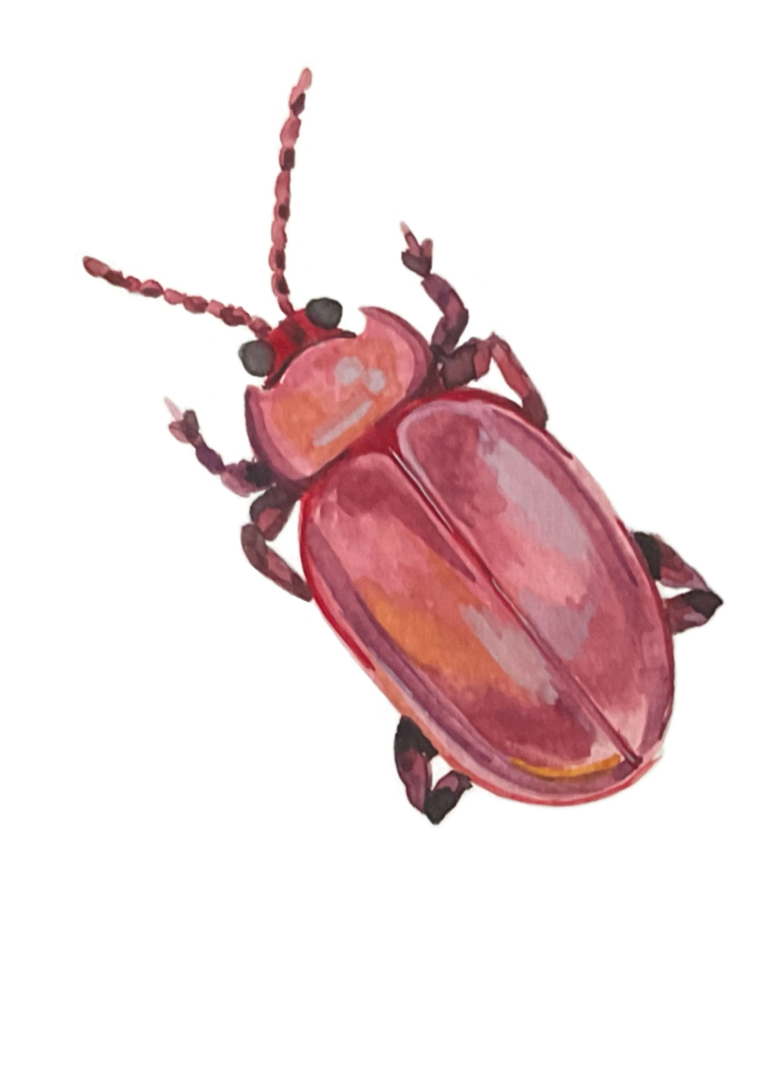 Untitled_Artwork 103.jpg