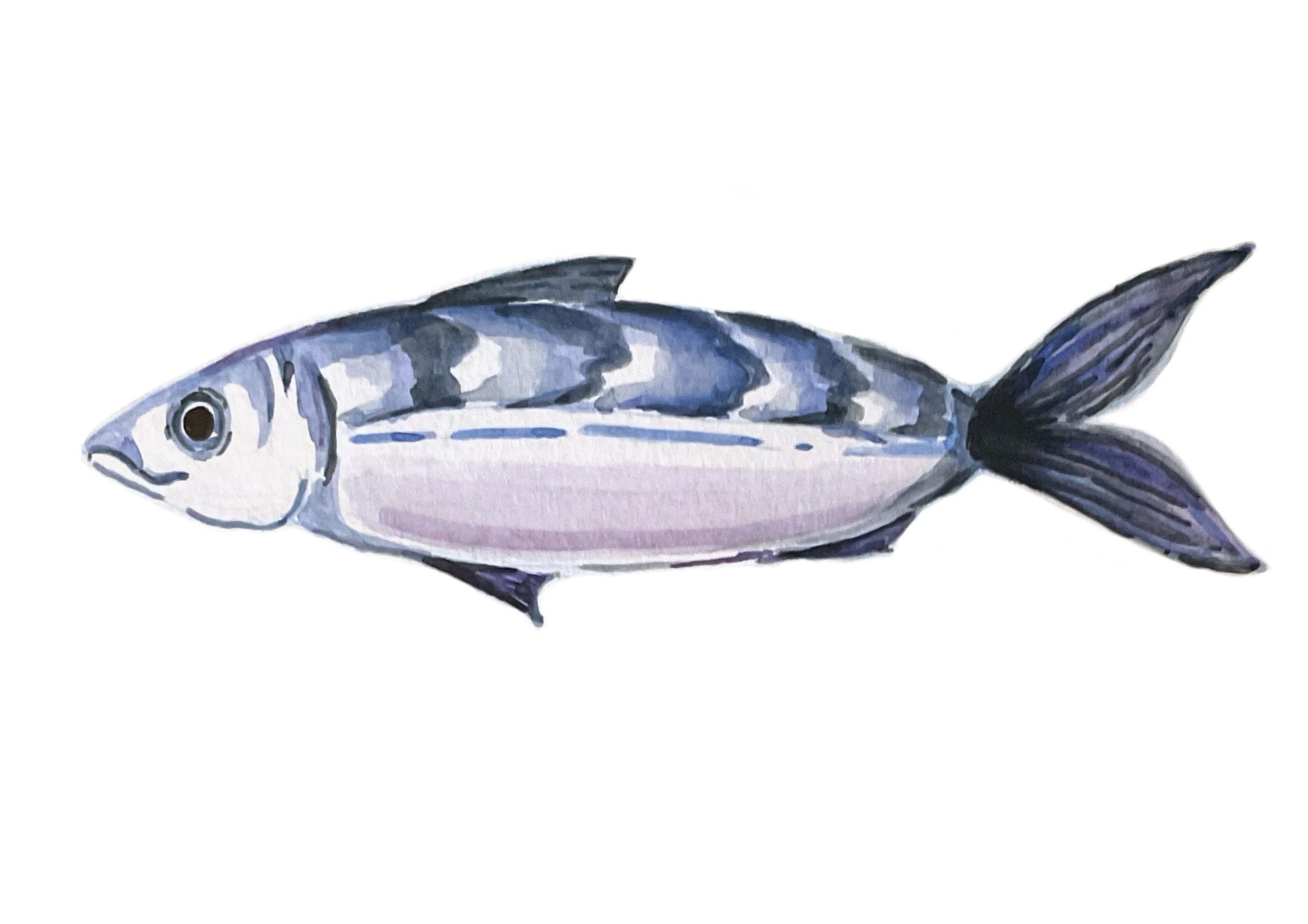 Untitled_Artwork 98.jpg