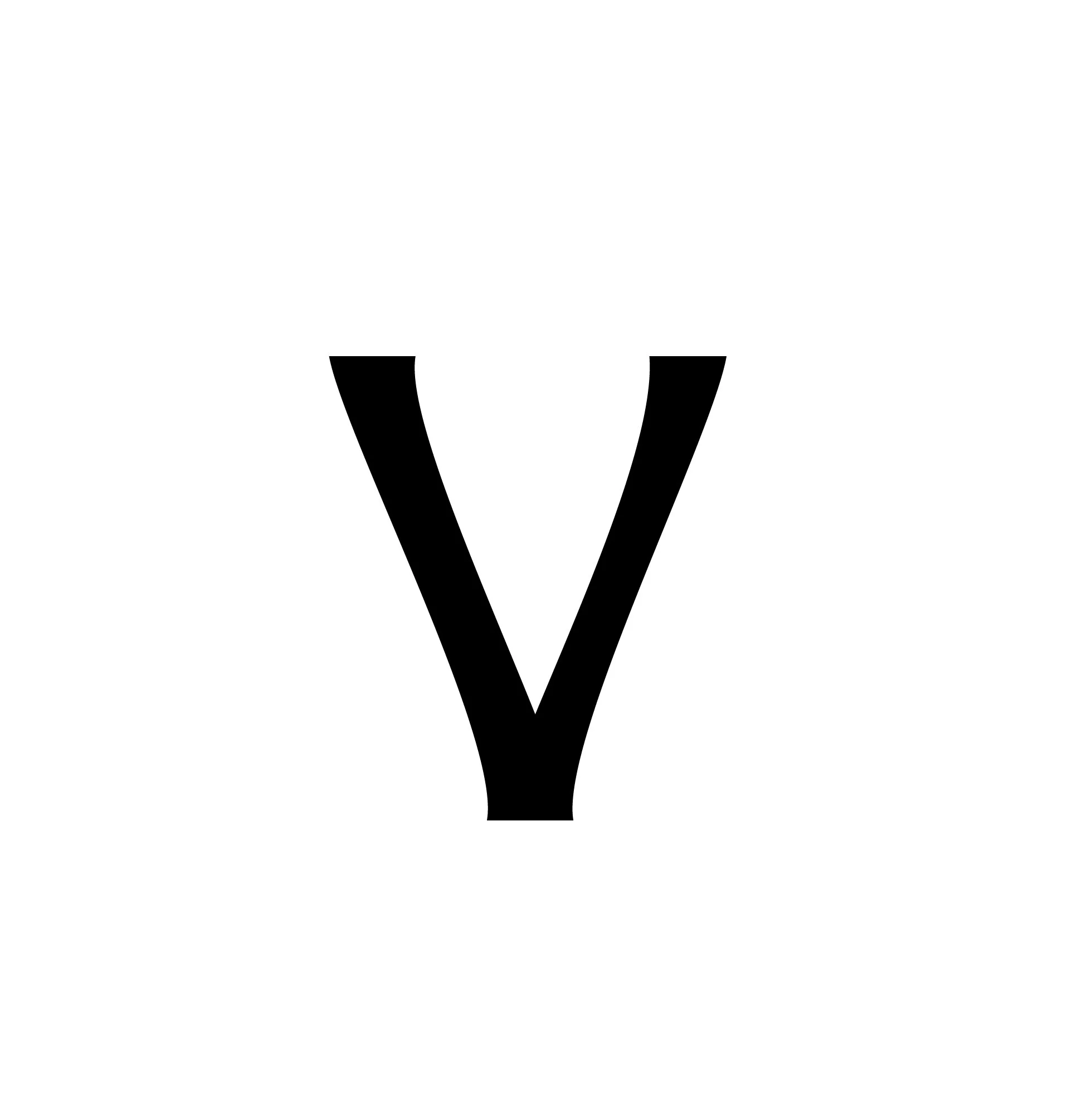 vl (2).jpg