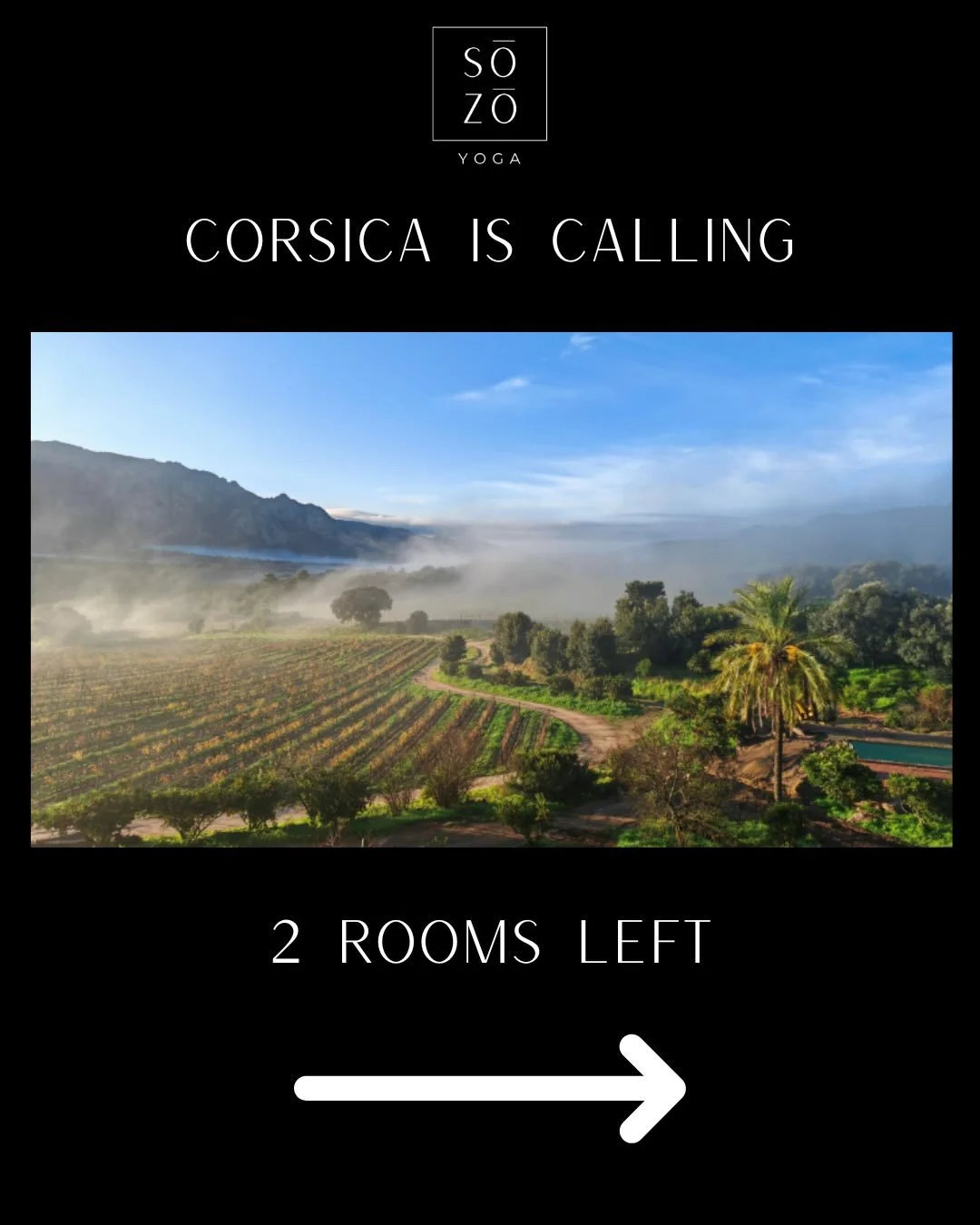 Corsica is calling...Only 2 suites remain...are you in? 🇫🇷🧘&zwj;♀️🏝️

Join us this fall for 4 nights of yoga, connection, and slowing down on the breathtaking island of Corsica, France.
 
Morning practice, shared meals, ocean air, mountain + vine