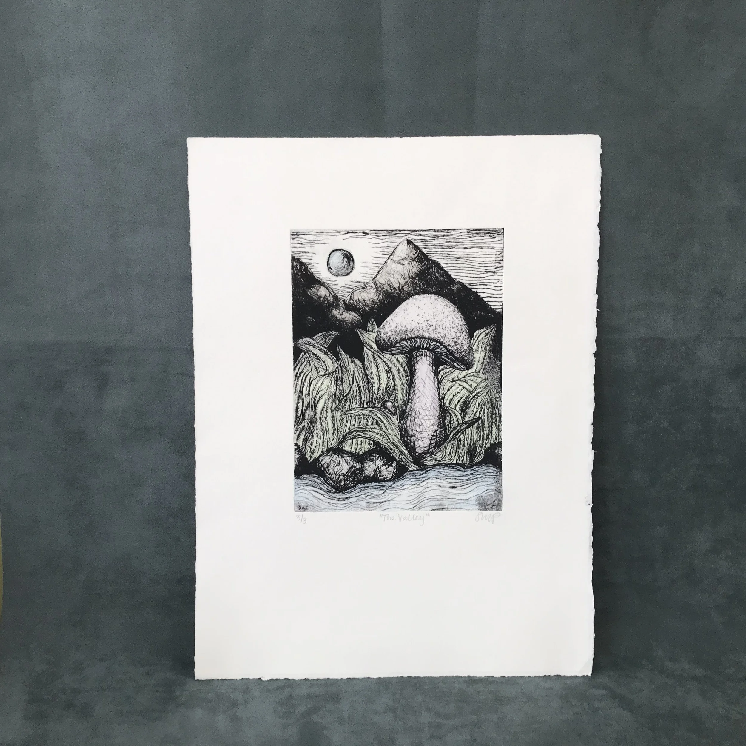 "The Valley" Etching *not for sale*