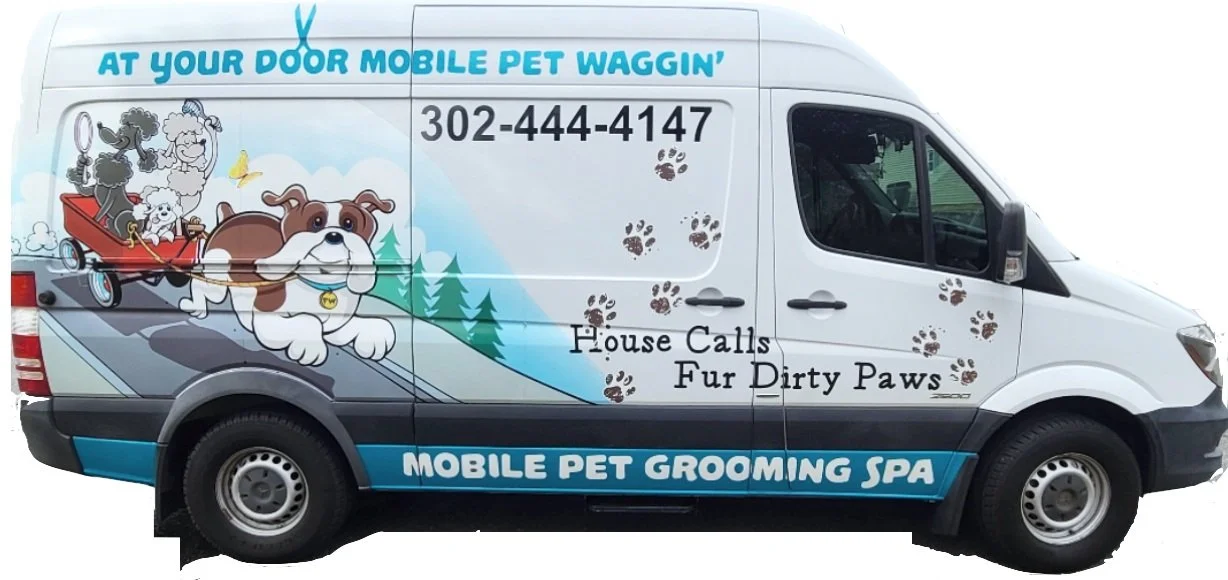 Clearance at your door pet grooming Sale