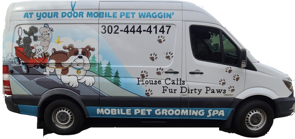 Buy dog grooming to your door Deals