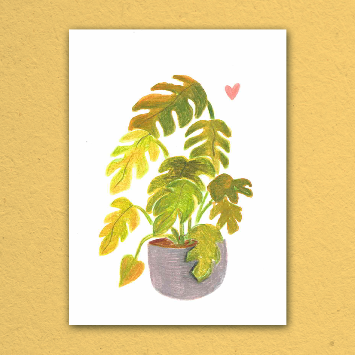 Day 28 - Plant