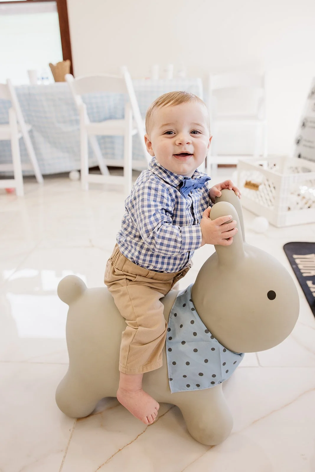 Soft Play Animal Hoppers