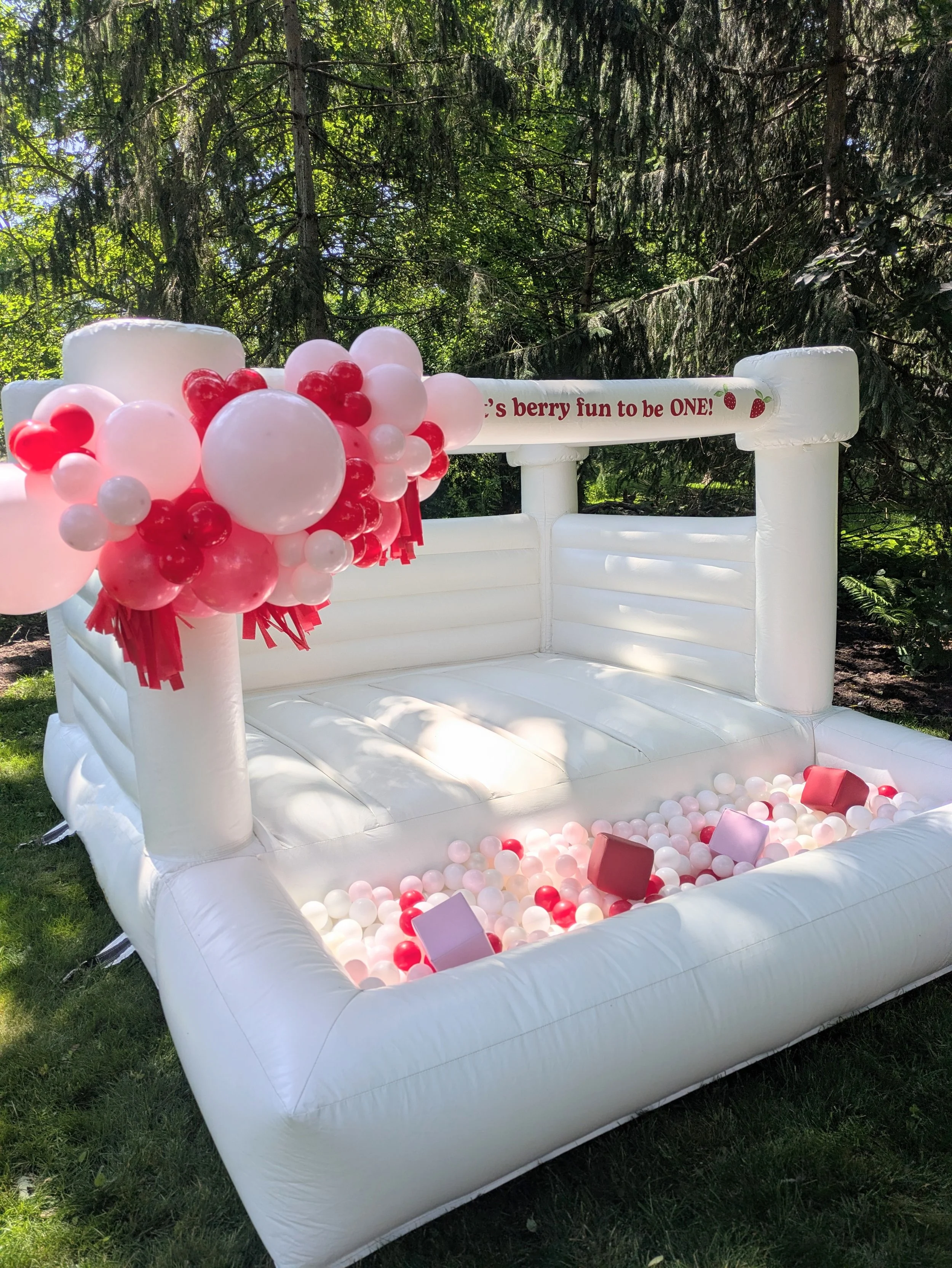 St Charles bounce house rental