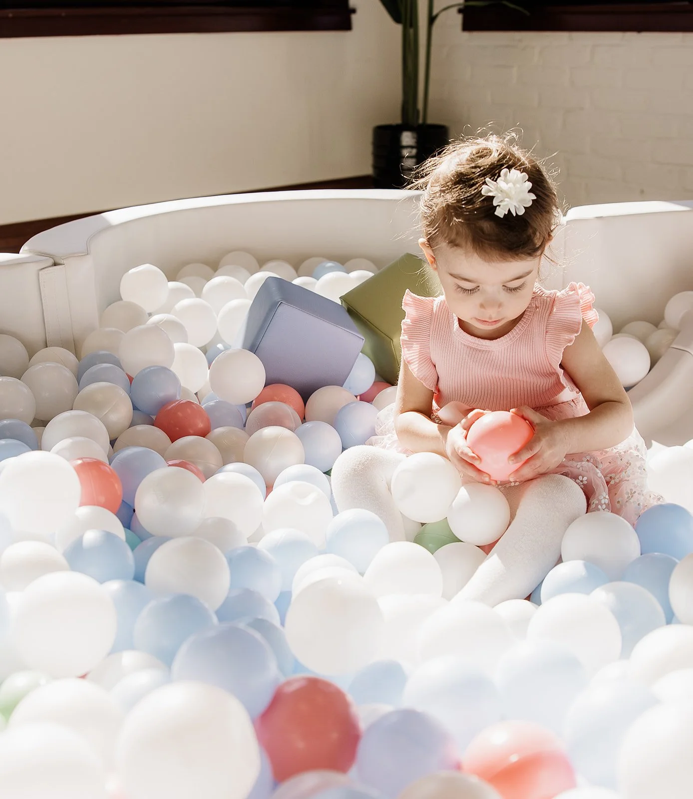 Ball Pit Rental Illinois
