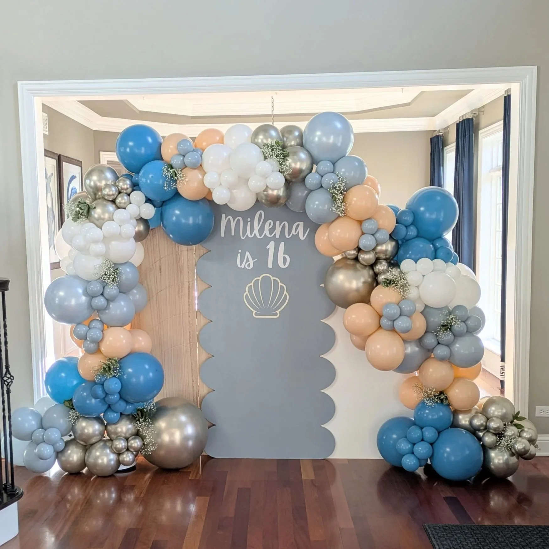 Balloon Backdrop Illinois