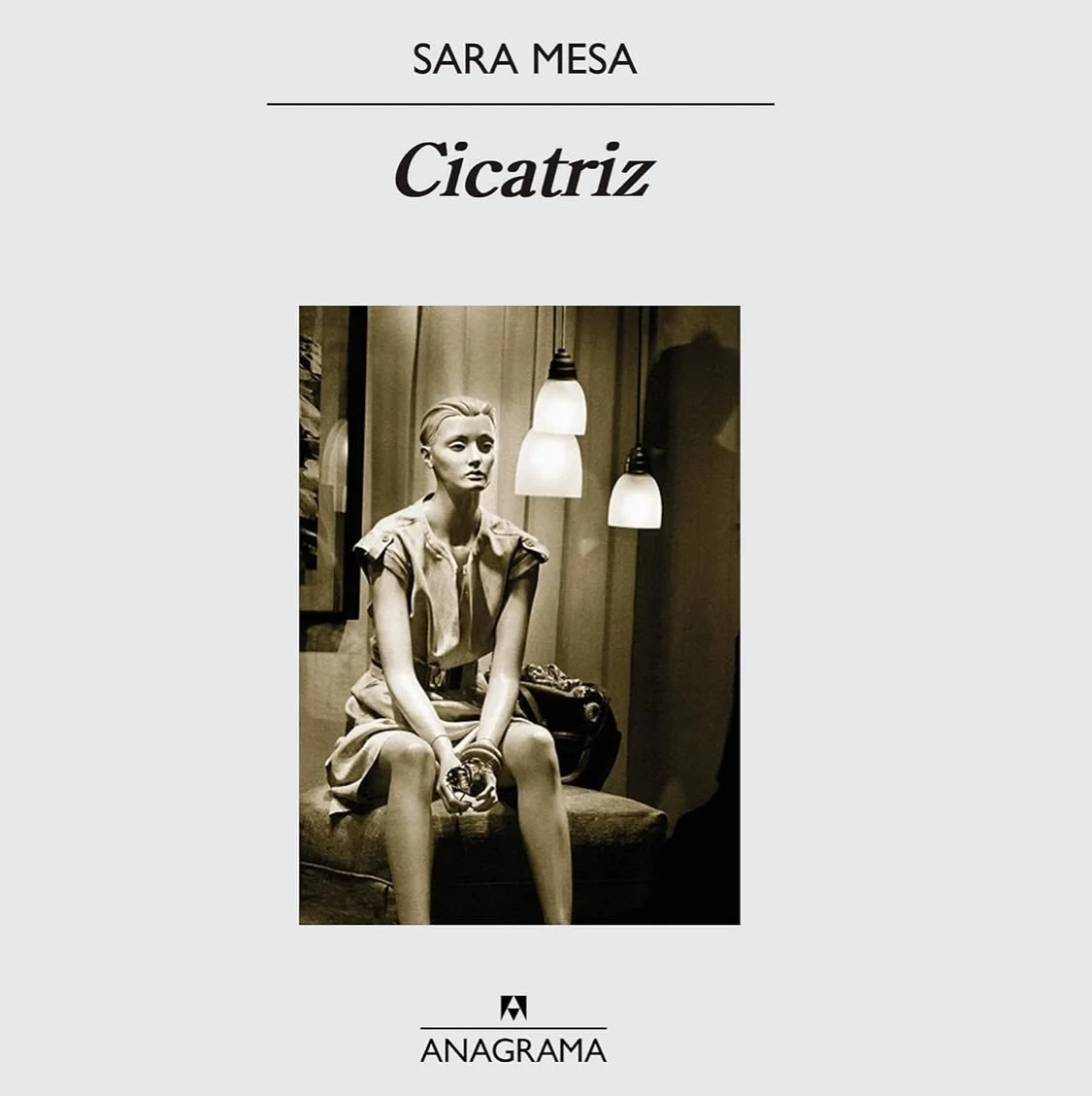 Cicatriz (Sara Mesa, Espa&ntilde;a 1976)

Ya hab&iacute;a le&iacute;do Un amor y qued&eacute; hipnotizada por la forma que tiene Sara Mesa de meterse bajo la piel de sus personajes, de nombrar lo innombrable con una prosa contenida, seca pero llena d