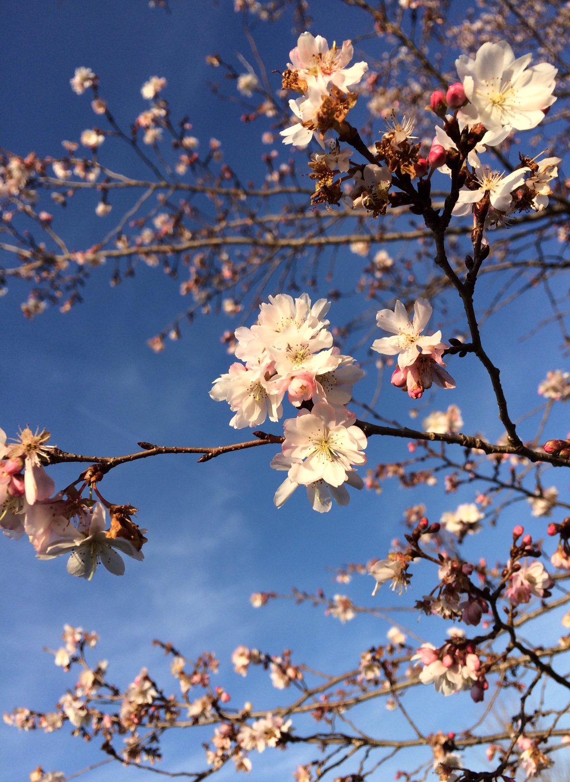 February 2023 Newsletter