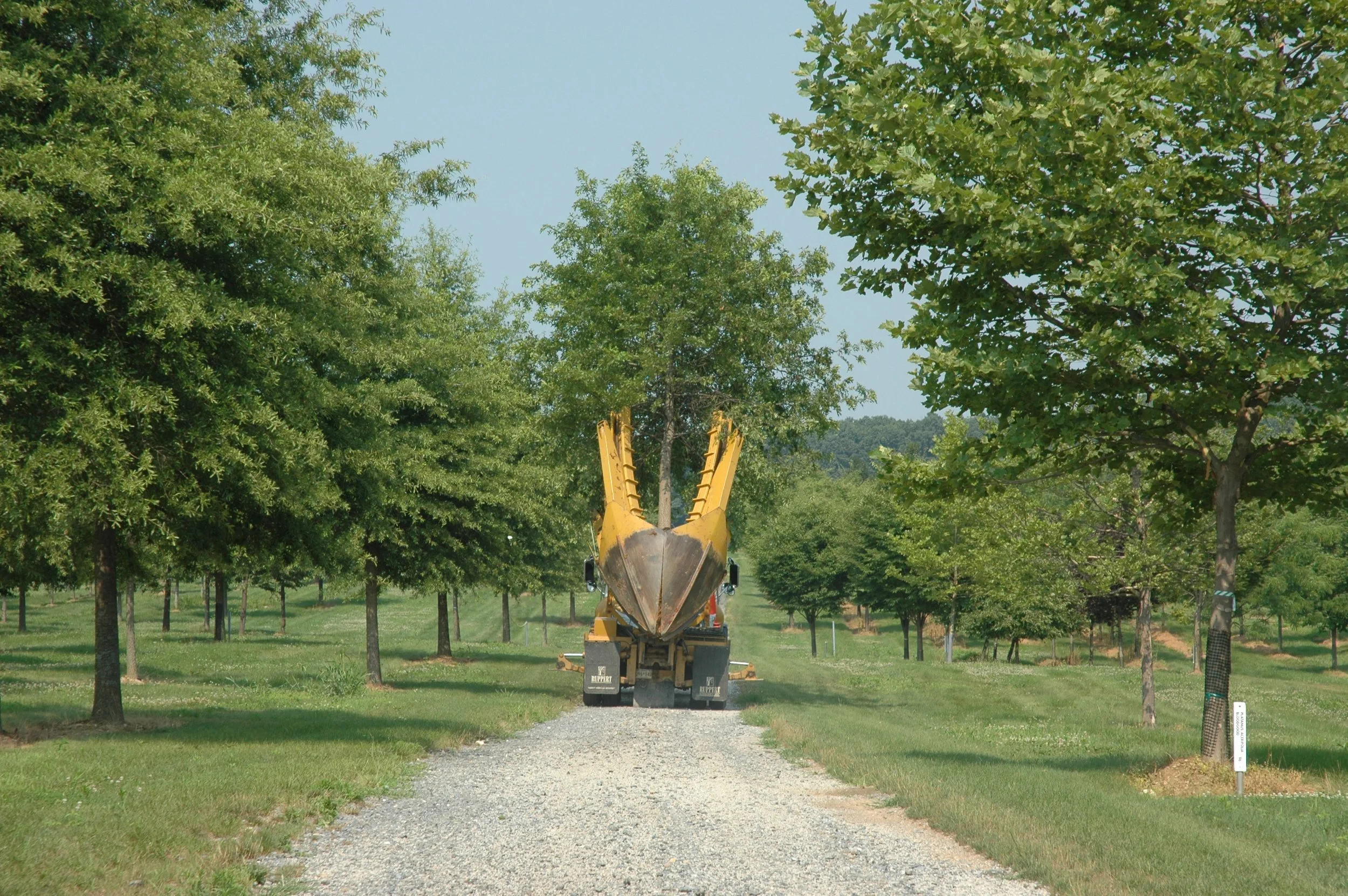 Peak Spring Availability & New Material Walk