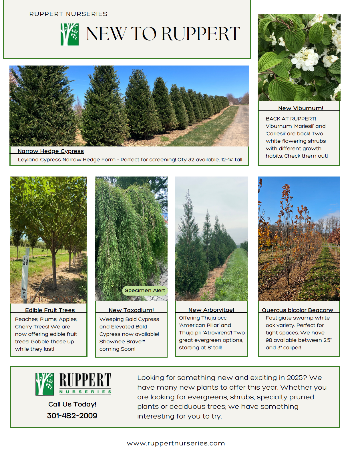 New to Ruppert Nurseries — Ruppert Nurseries