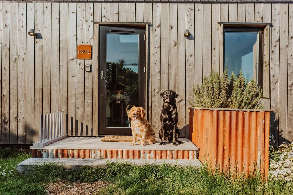 Two dogs sitting on the porch in front of a wooden house, one brown and the other black. The porch has a small gate on the left, a doormat, a door with a glass panel, a window, and a large planter with greenery.
