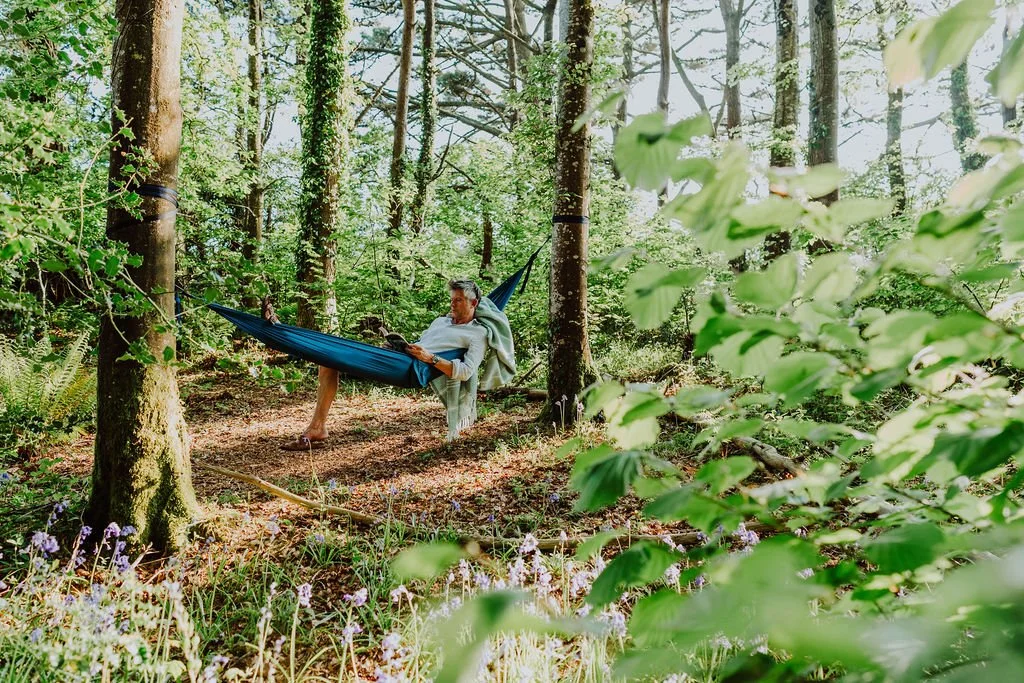 Luxury cabin in the countryside