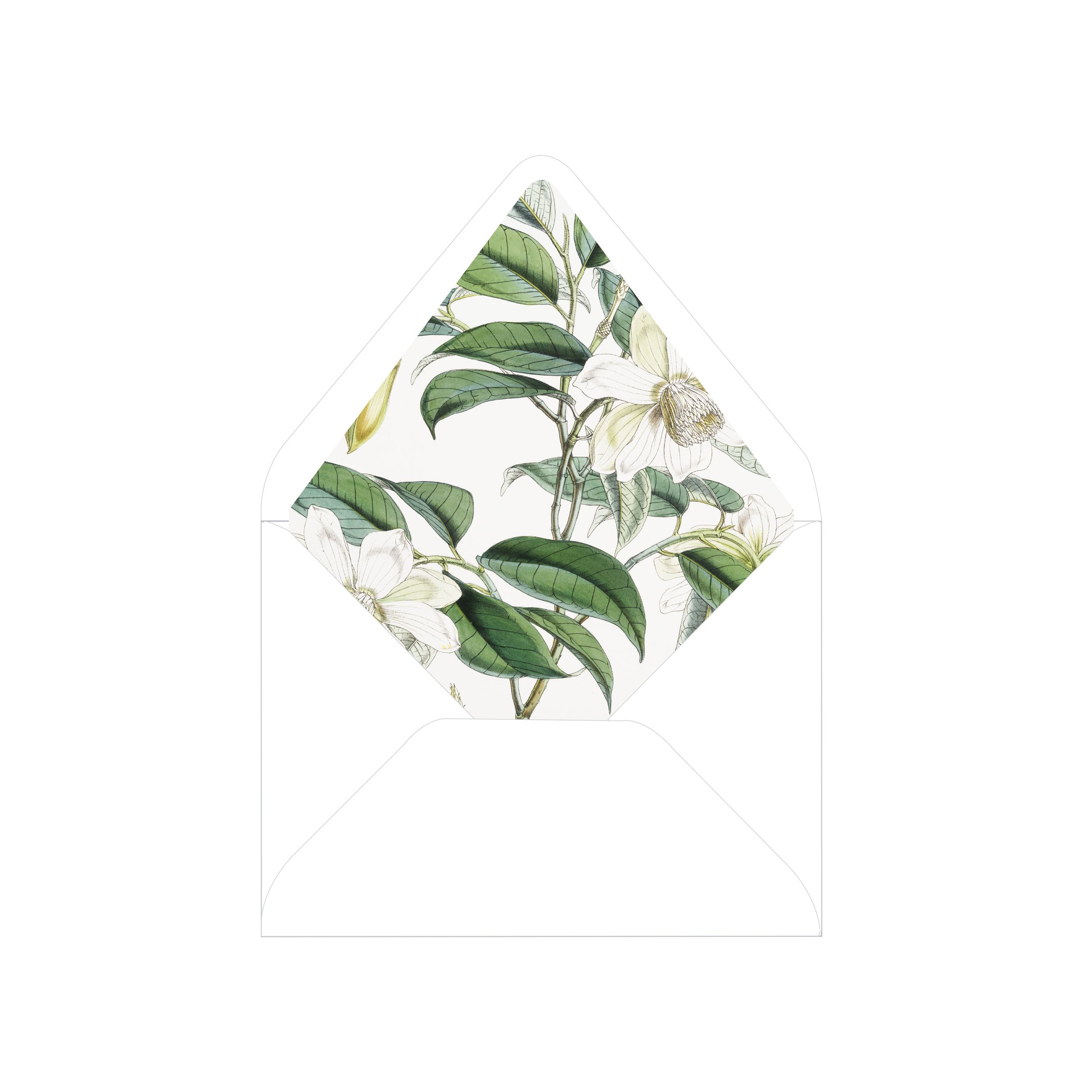 Vintage Magnolia Envelope Liners