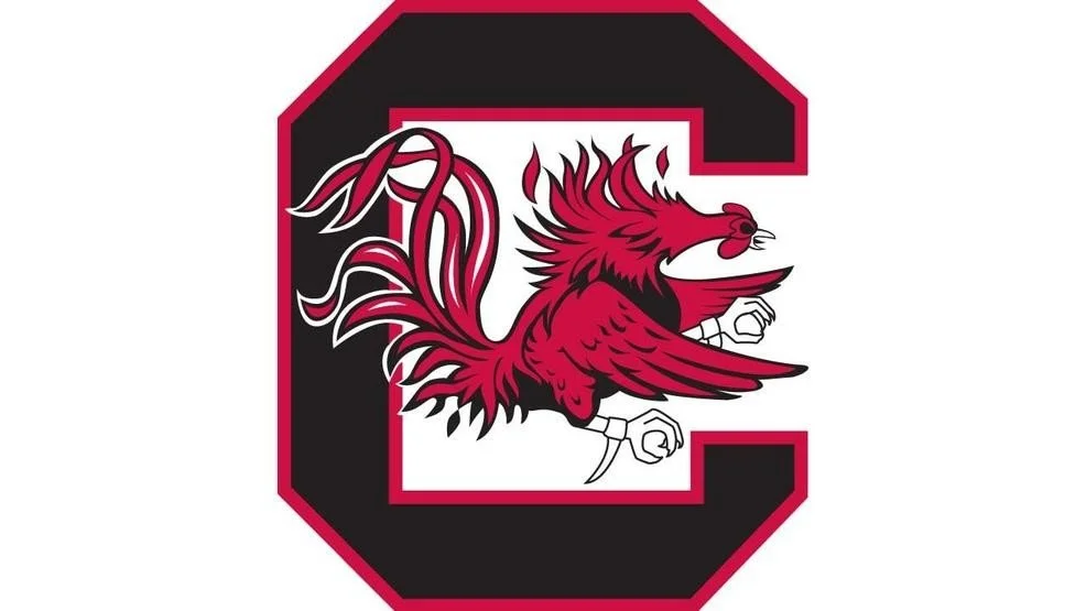 South Carolina Logo 5.jpeg
