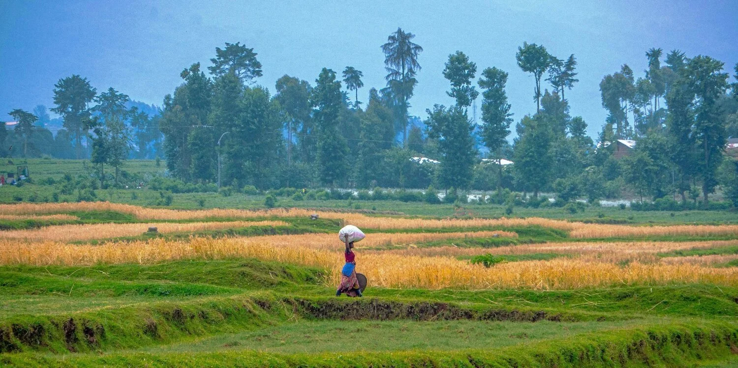 Reference Value Report: Living Income Report and 2025 Update for Rural ...