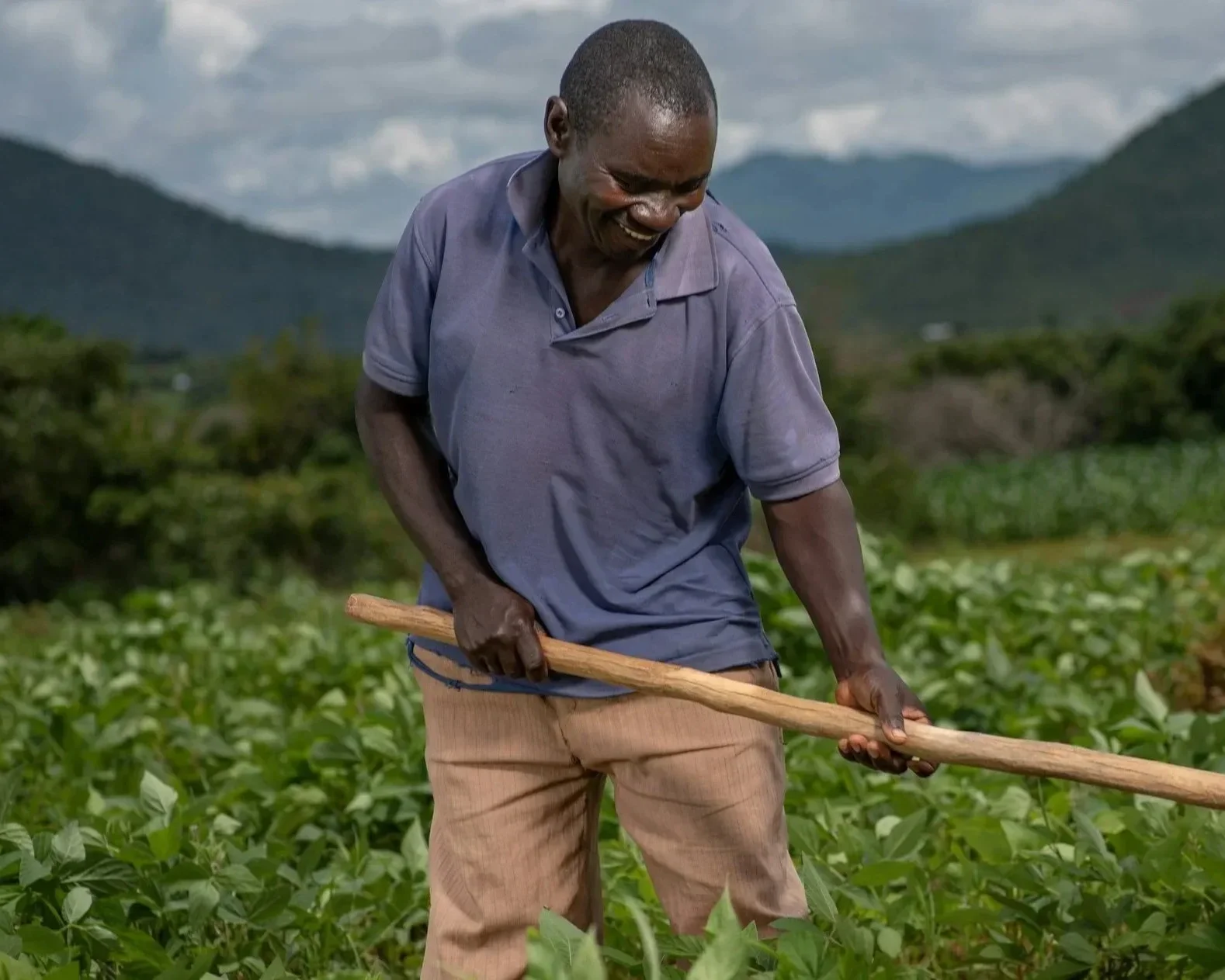 Benchmark Report: Living Income Report (With Living Wage Annex) and 2025 Update for Rural Central Region, Malawi