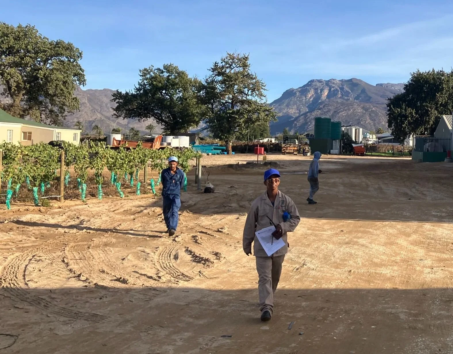 Benchmark Report: 2025 Living Wage Report for Cape Winelands Region, South Africa