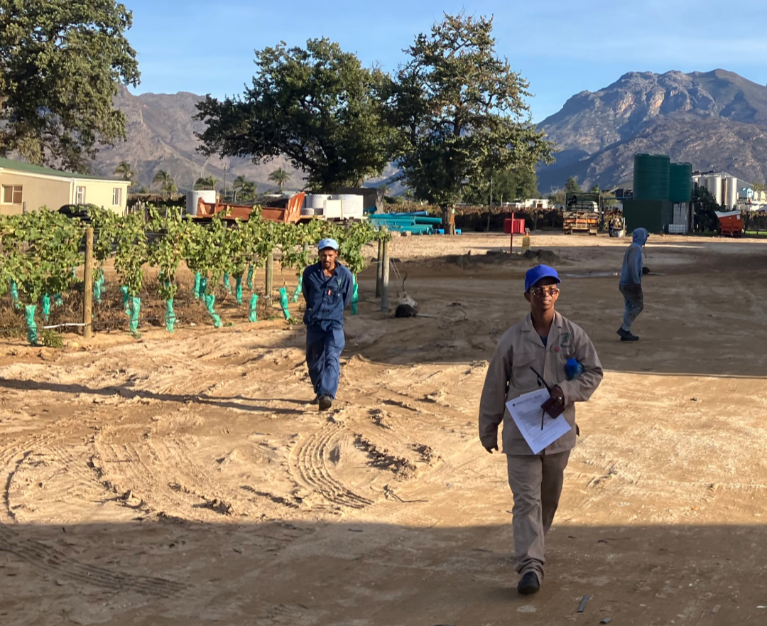 New Living Wage Benchmark Published for South Africa’s Cape Winelands 2025