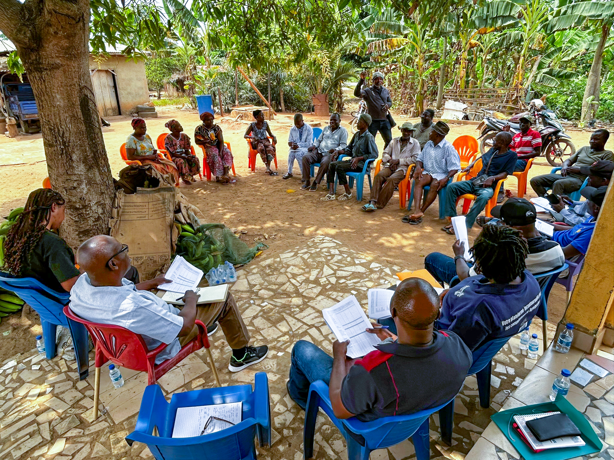 The Cocoa Paradox: Why Collective Action is Essential for a Sustainable Future