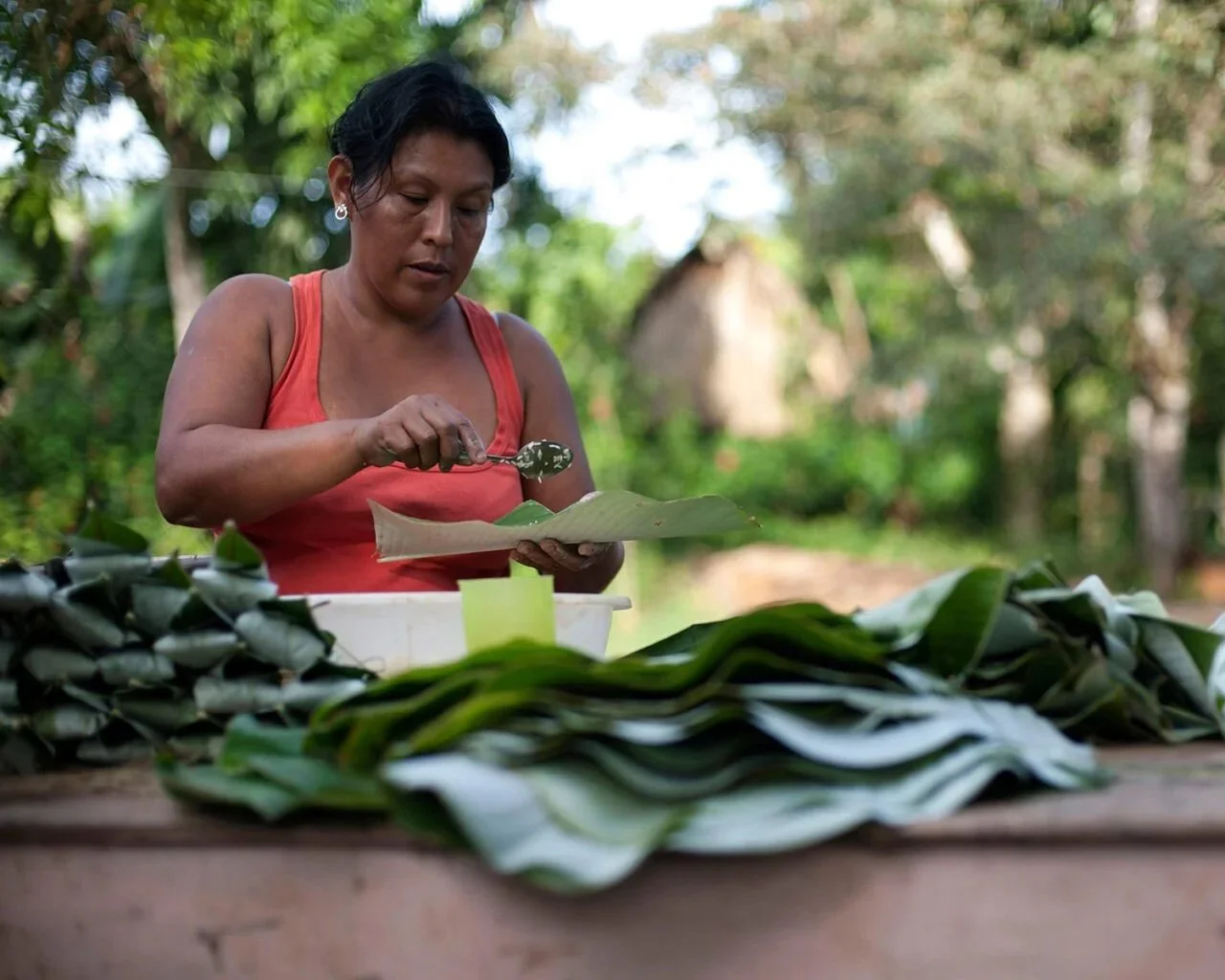 Report: Living Income and Living Wage Estimates for Brunca Region, Costa Rica, 2025