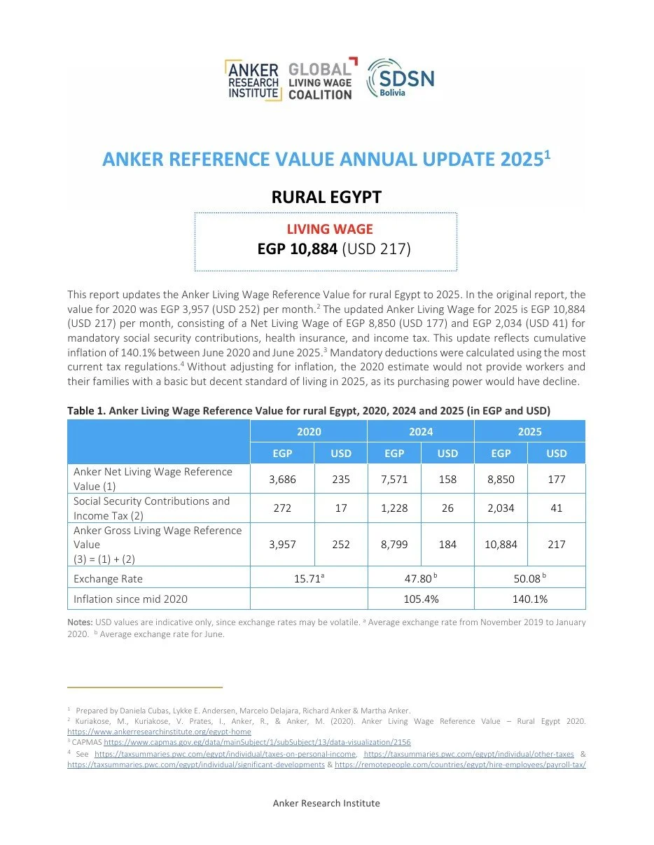 Egypt (Rural)- Living Wage RV
 Update Report 2025