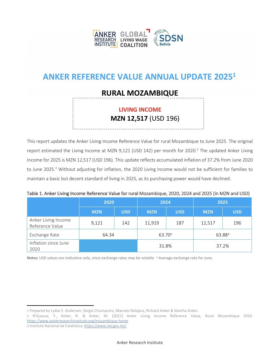 Mozambique (Rural) - Living Income RV Update Report 2025